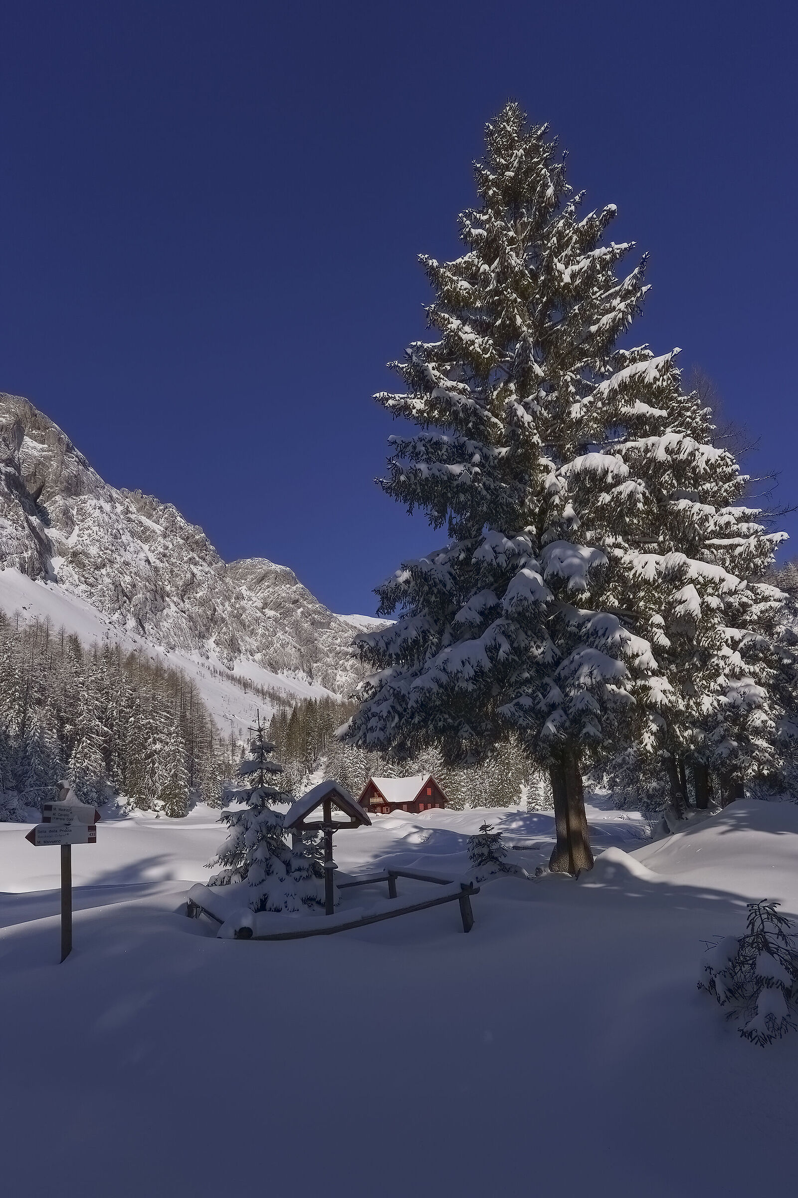 Hut Vinkel Border Carnic Alps