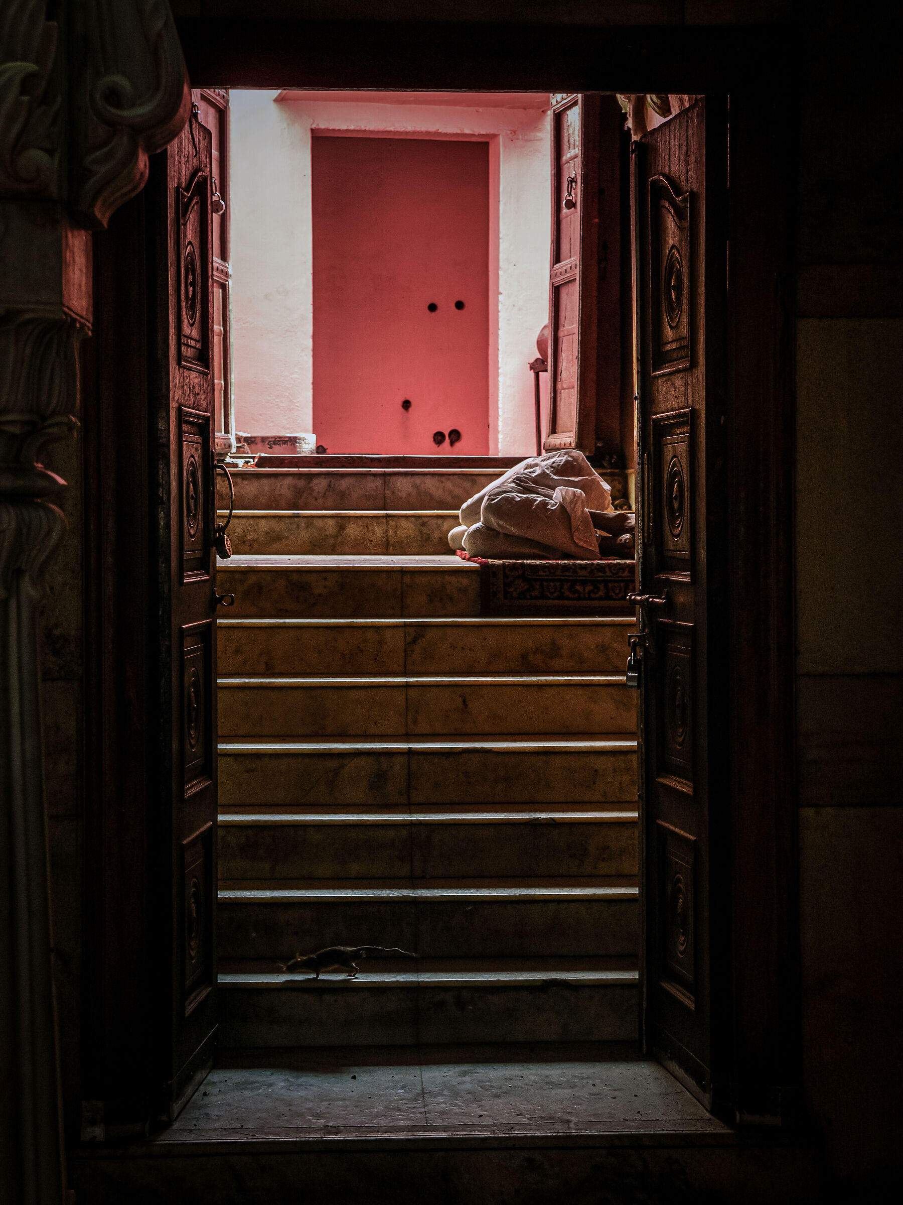 The Temple of Mice (Karni Mata Temple)#2 - India 2018