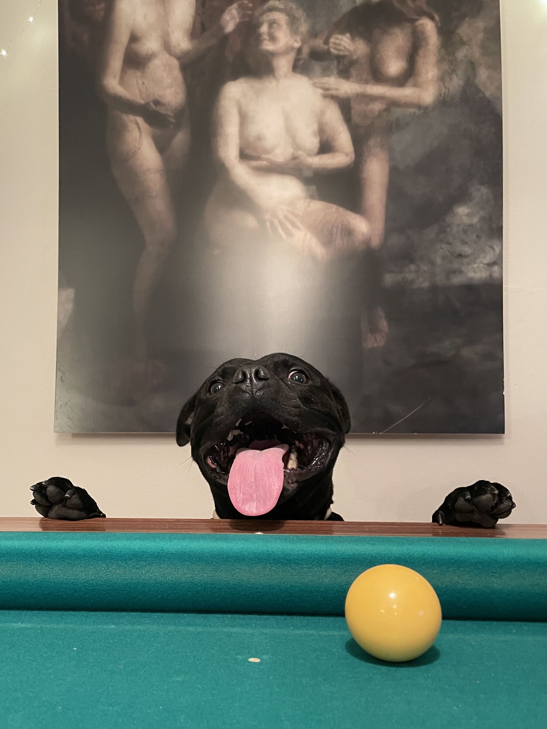 Say cheeeese