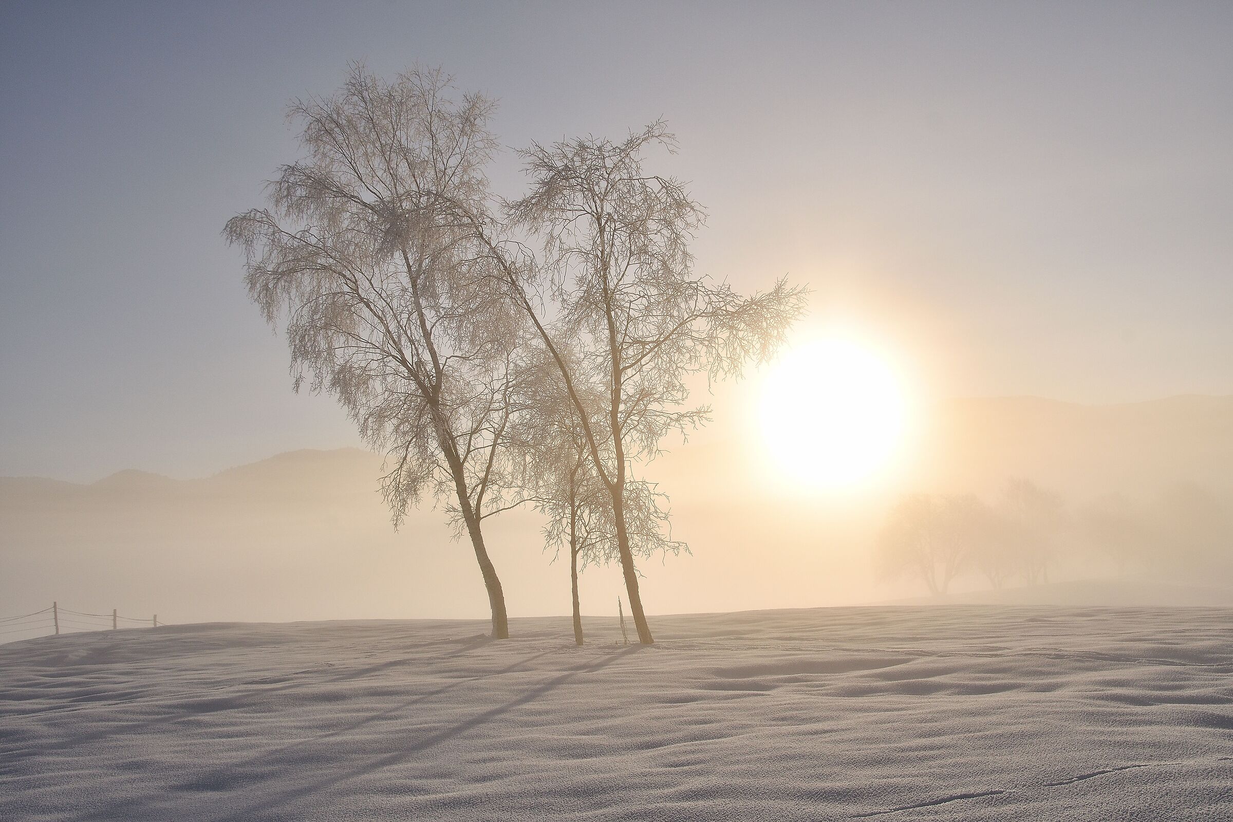 - 18 , Nel gelo del Cansiglio