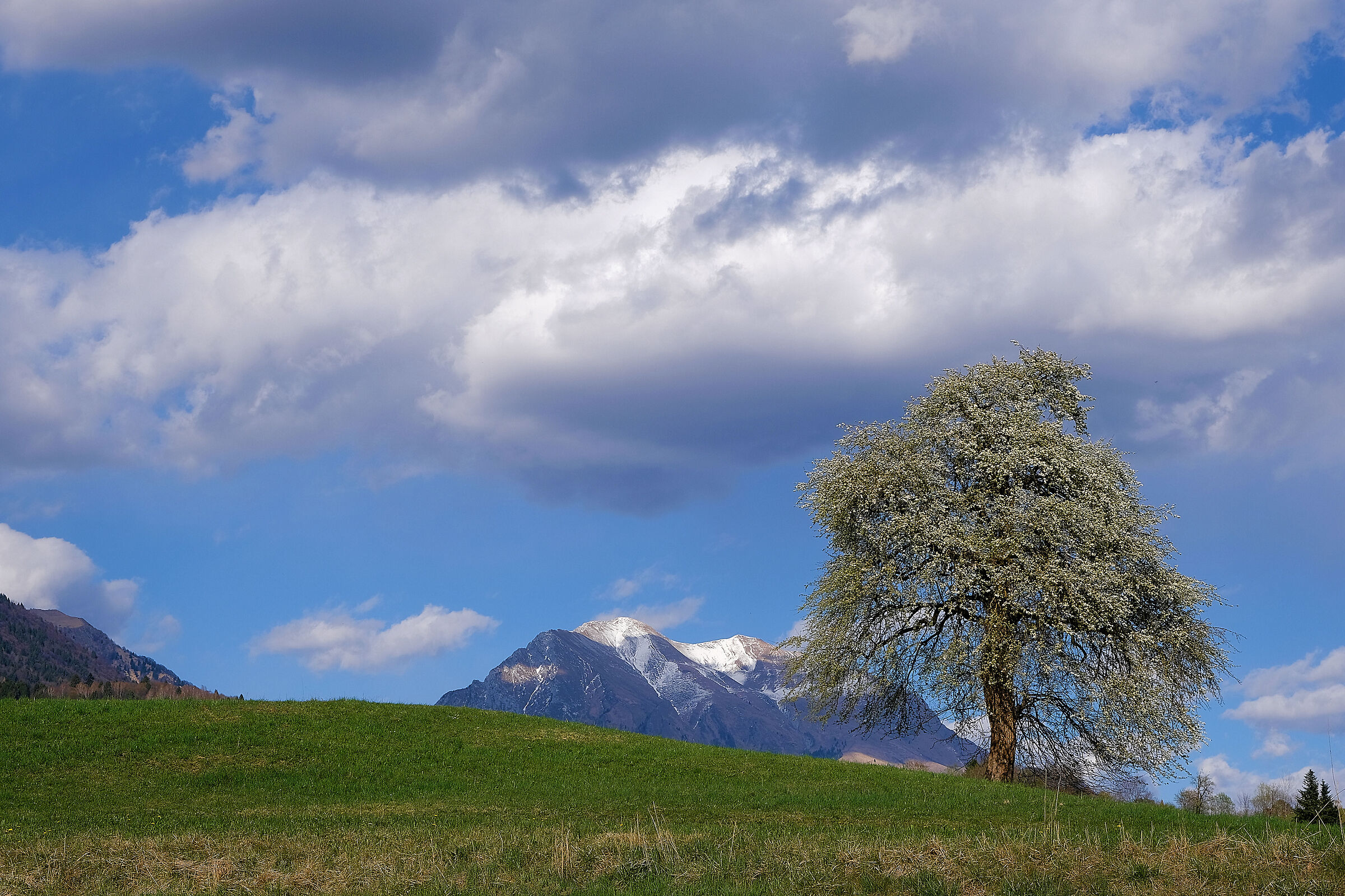 Landscapes bellunesi