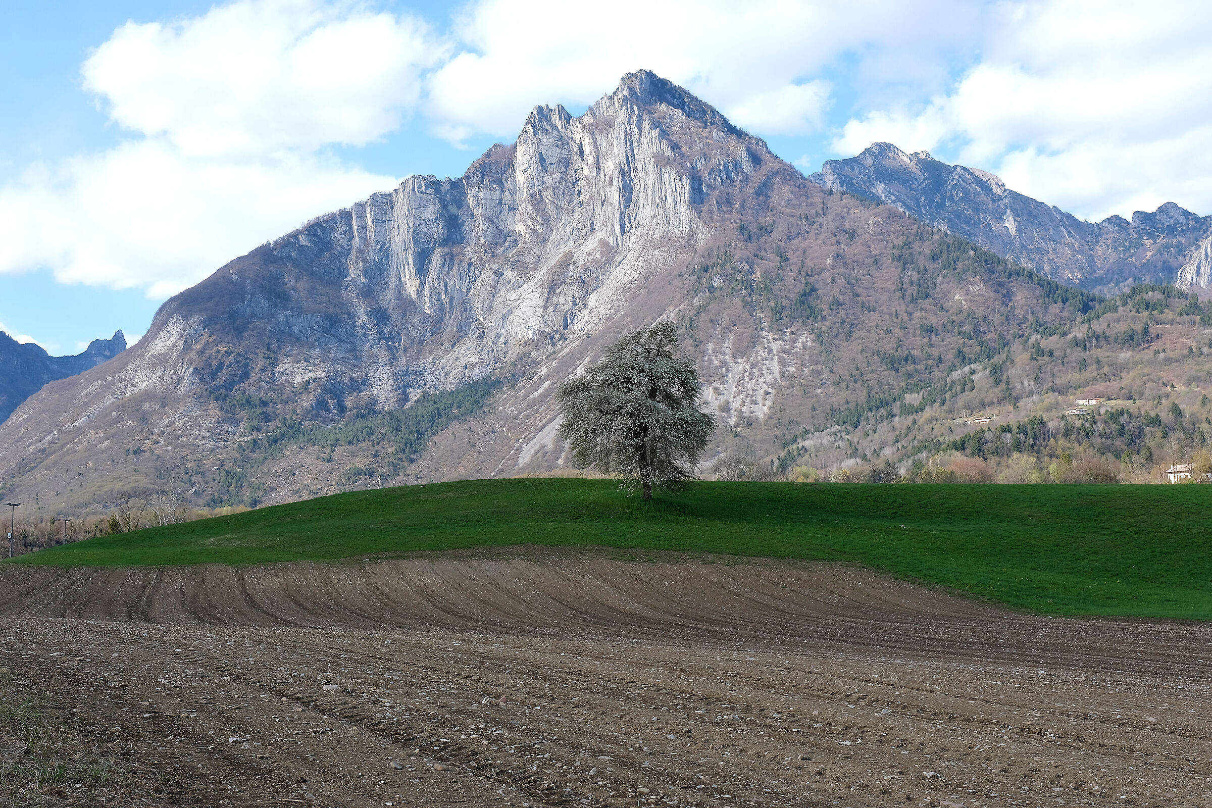 Landscapes bellunesi primaverili