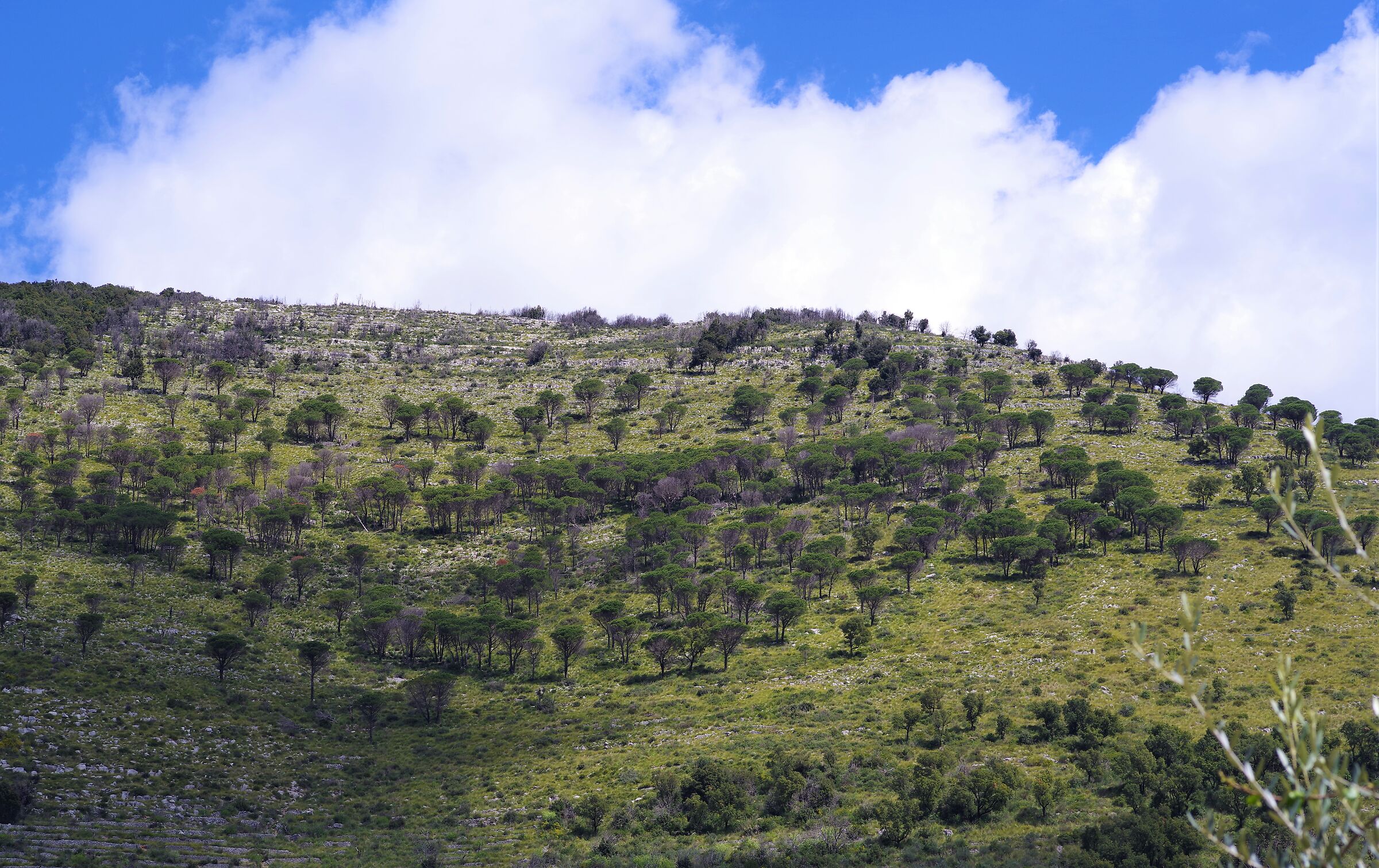 Parco dei monti Lepini - Sonnino