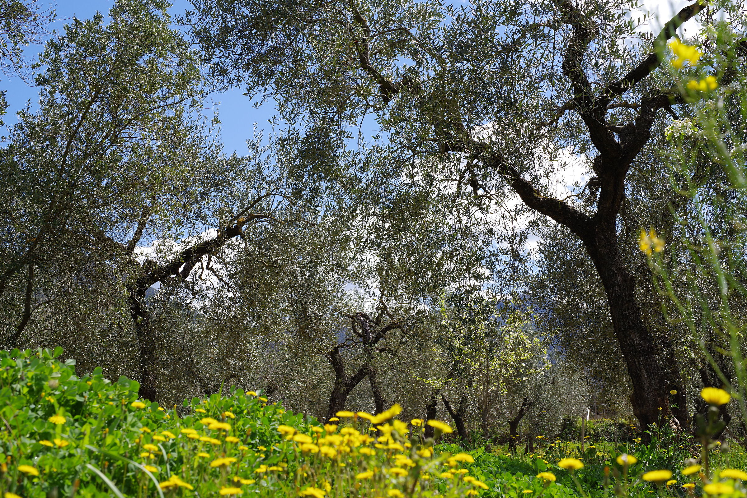 Parco dei monti Lepini - Sonnino