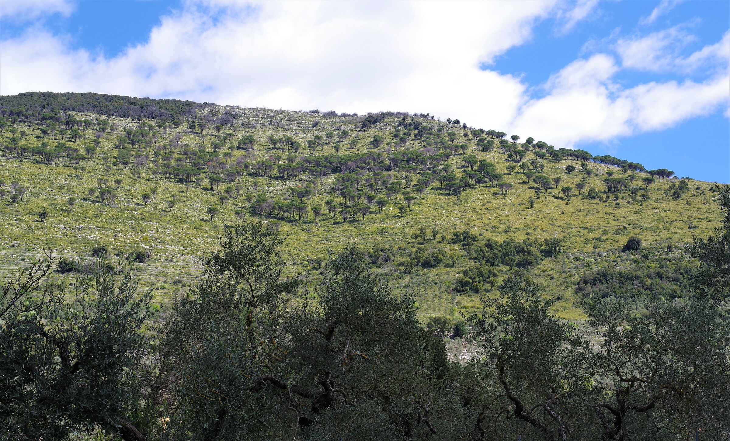 Park of the Lepini Mountains - Sonnino
