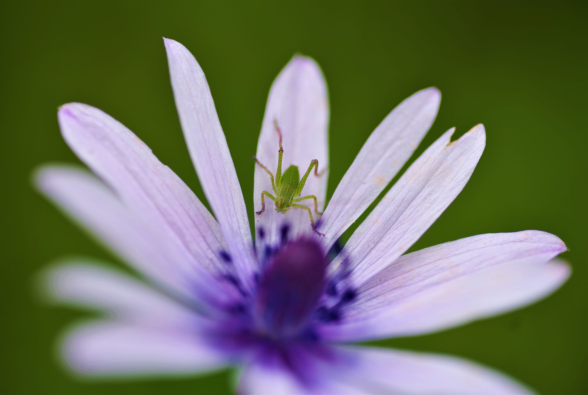 Untitled Photo