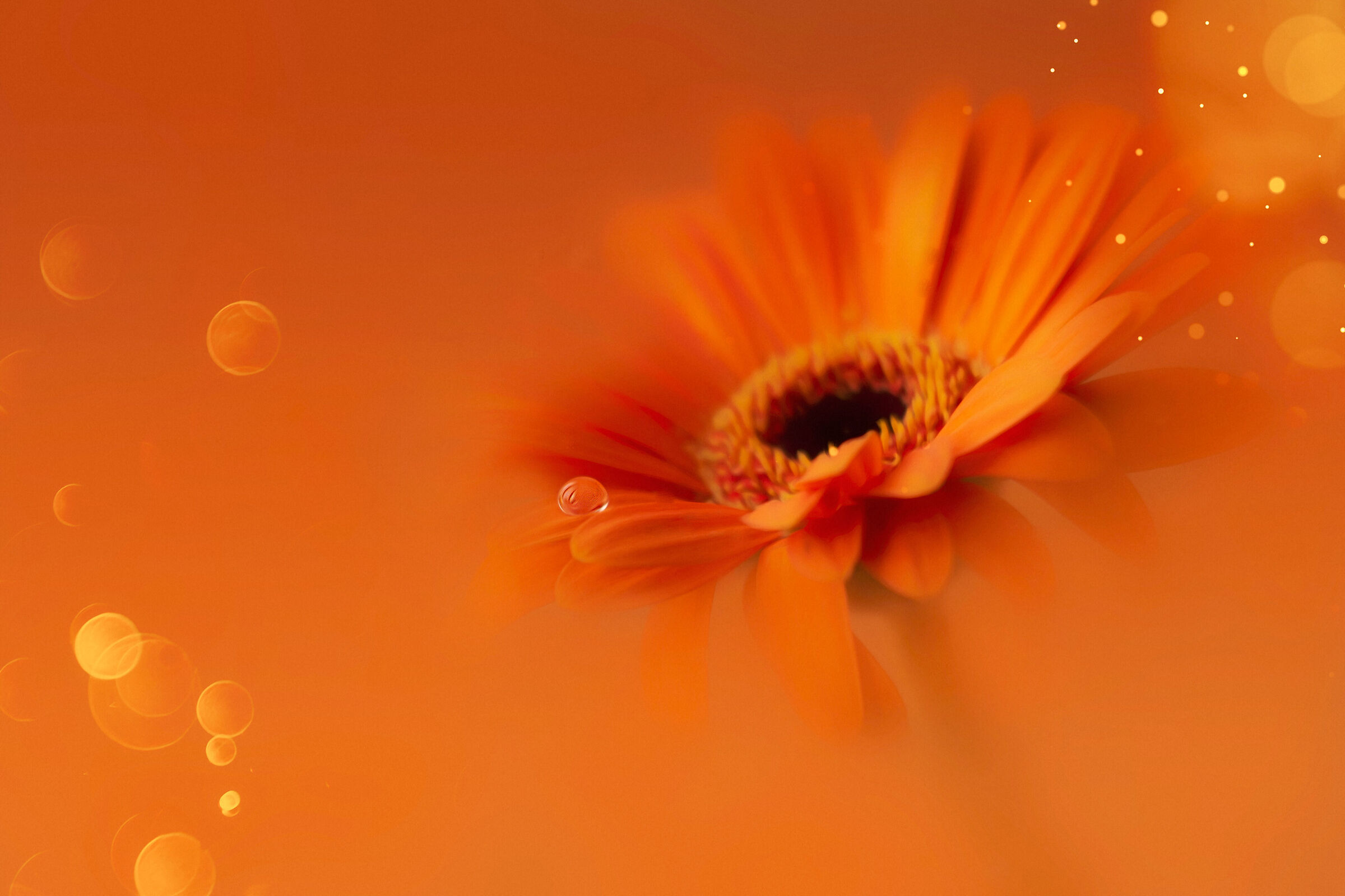 Shade of orange