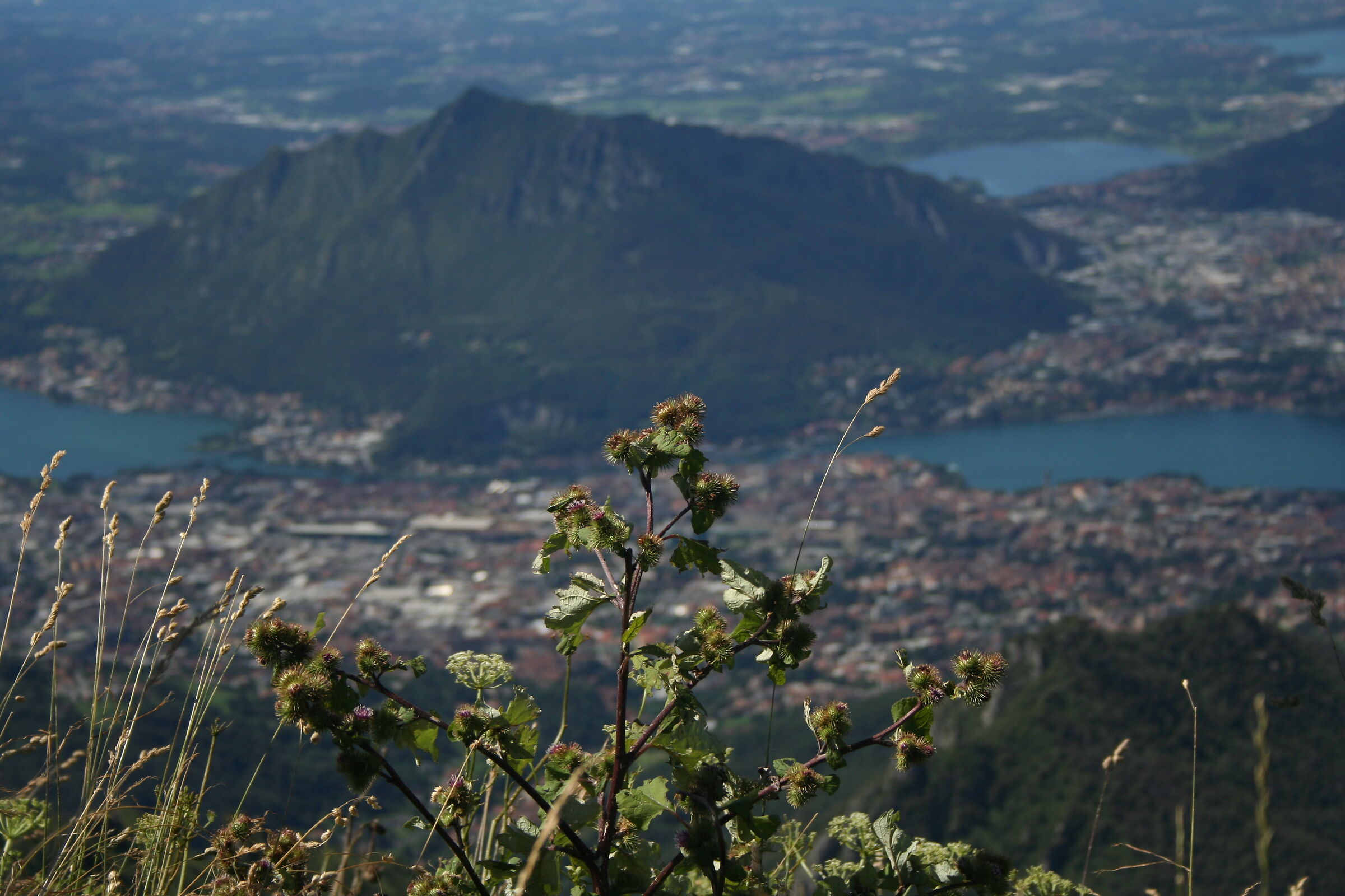 View of Monte Barro 2.0