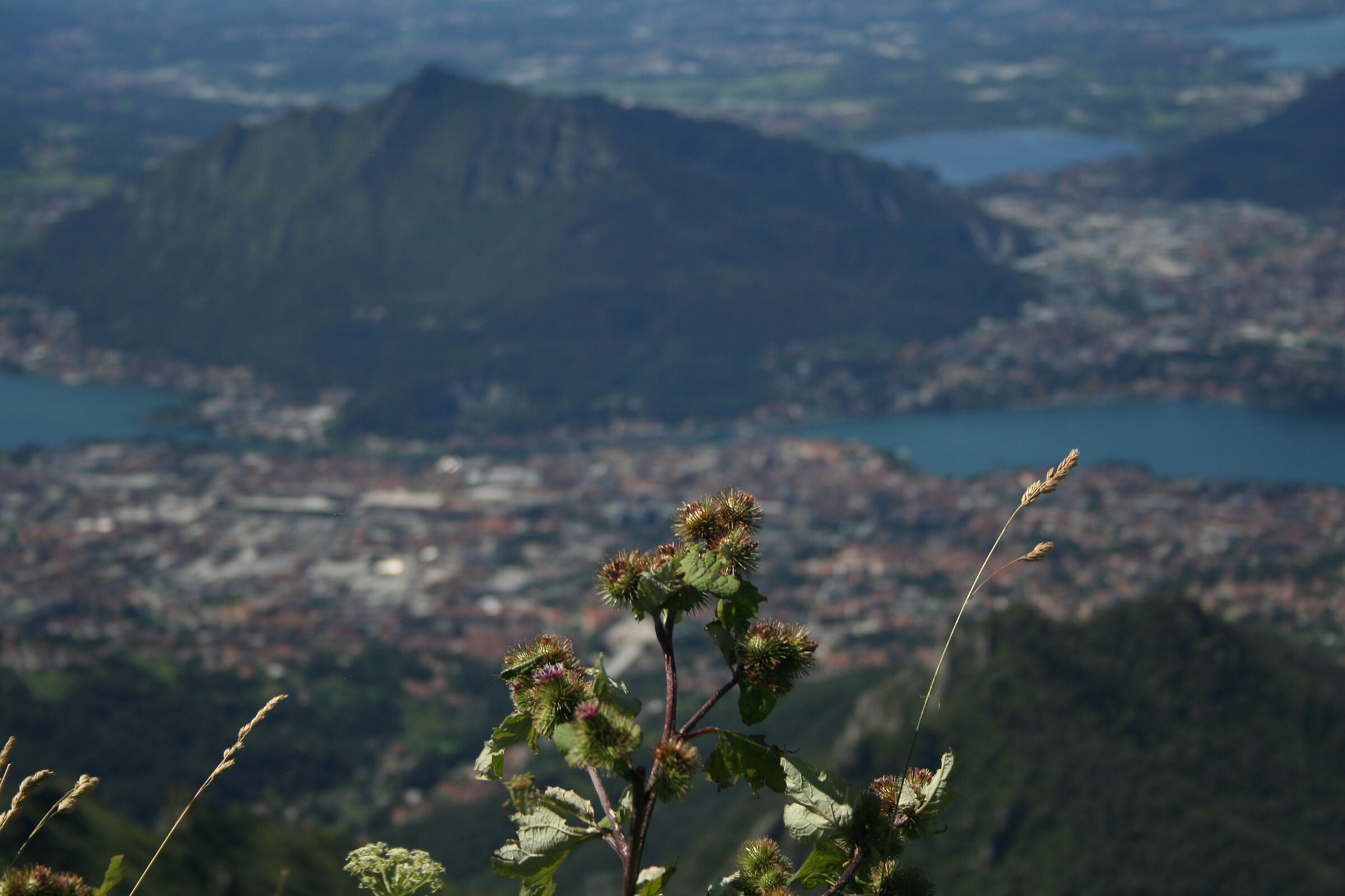 View of Monte Barro 3.0