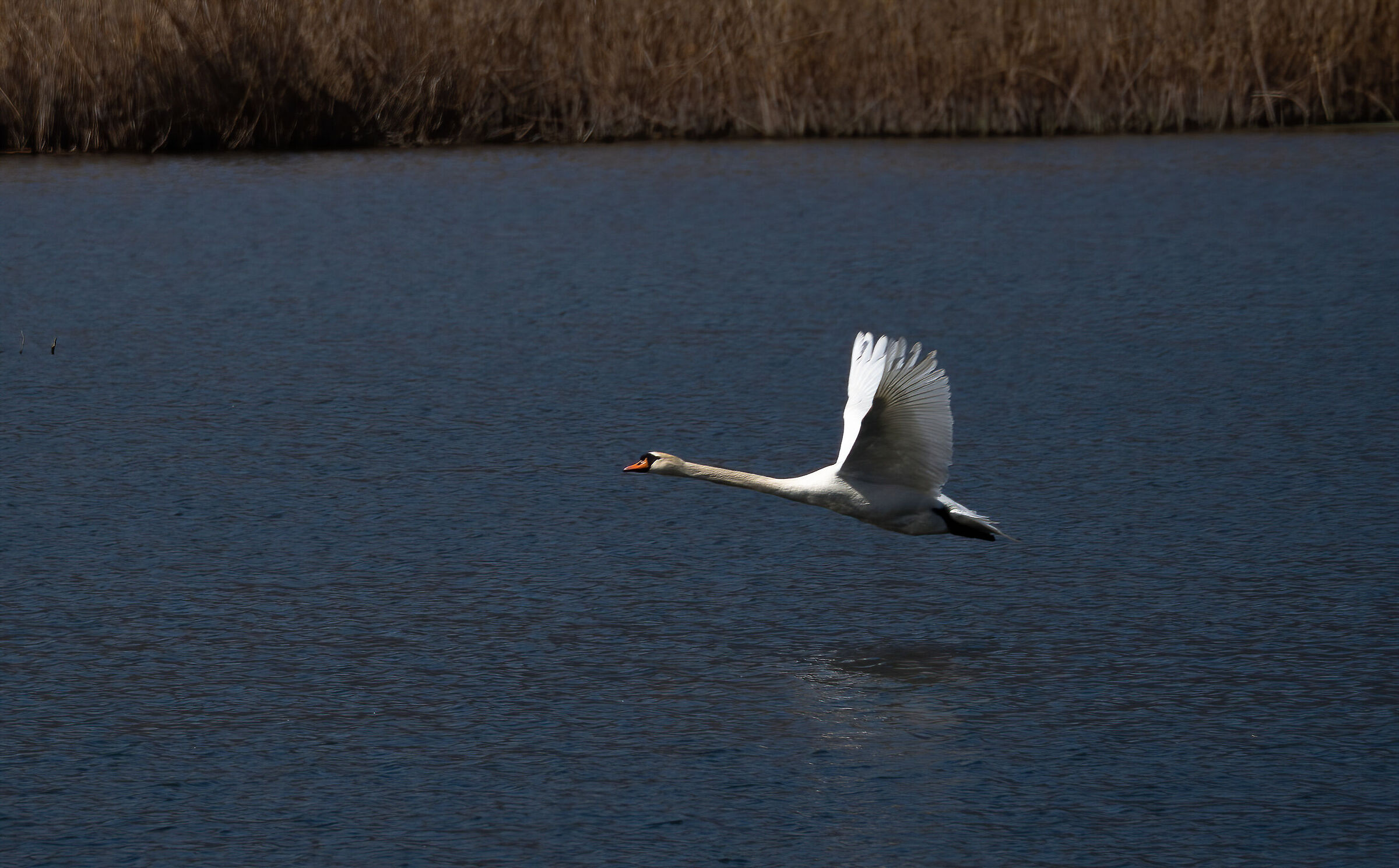 Real flight