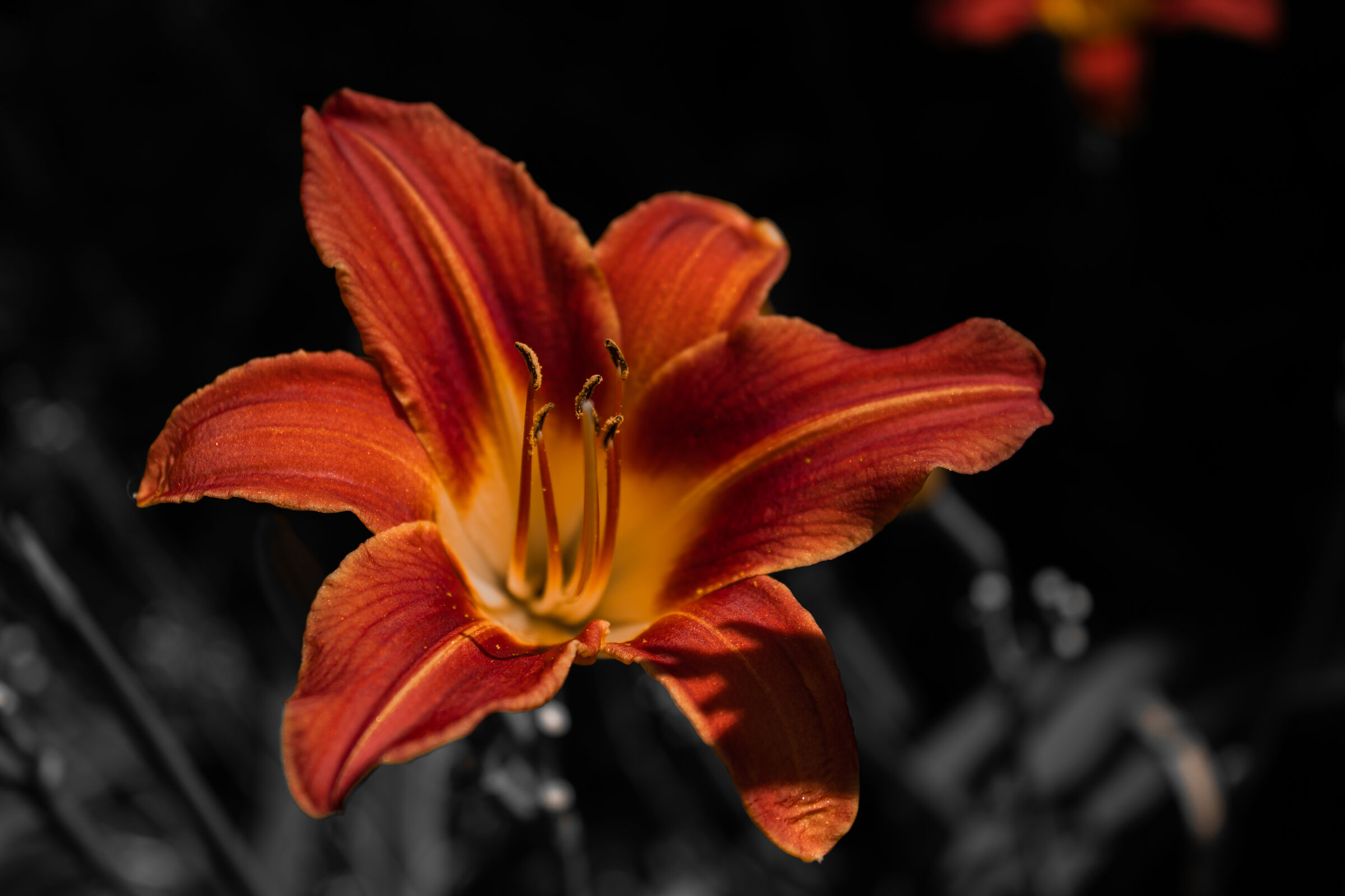 Flower edited