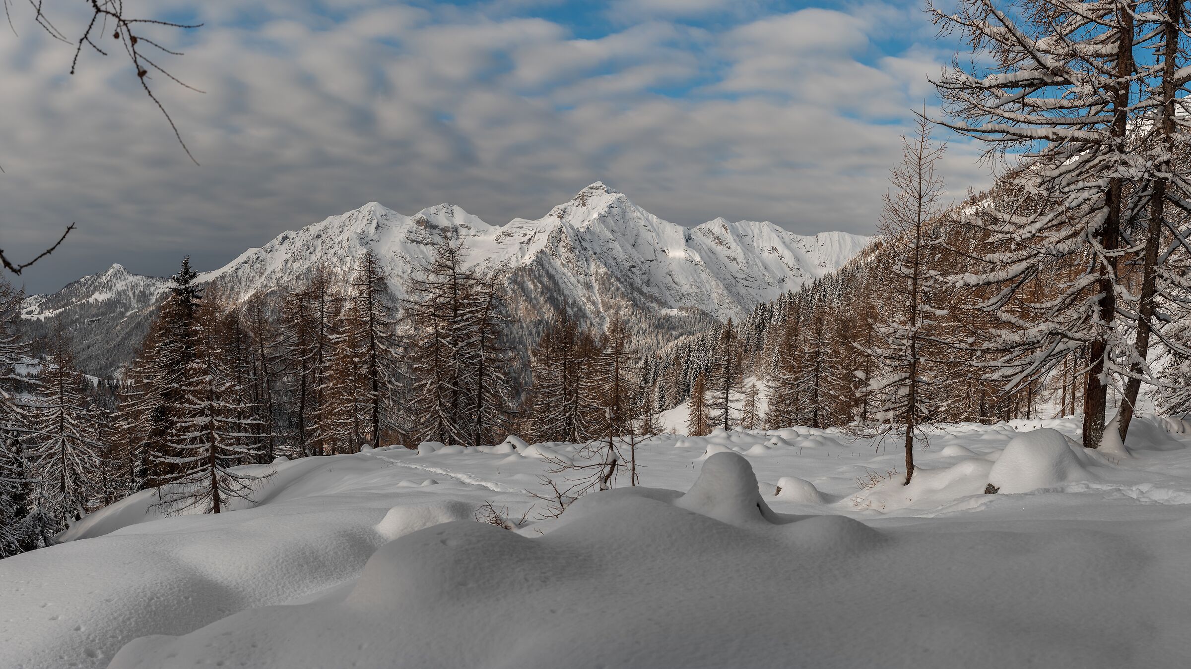 Ammirando il Pegherolo.