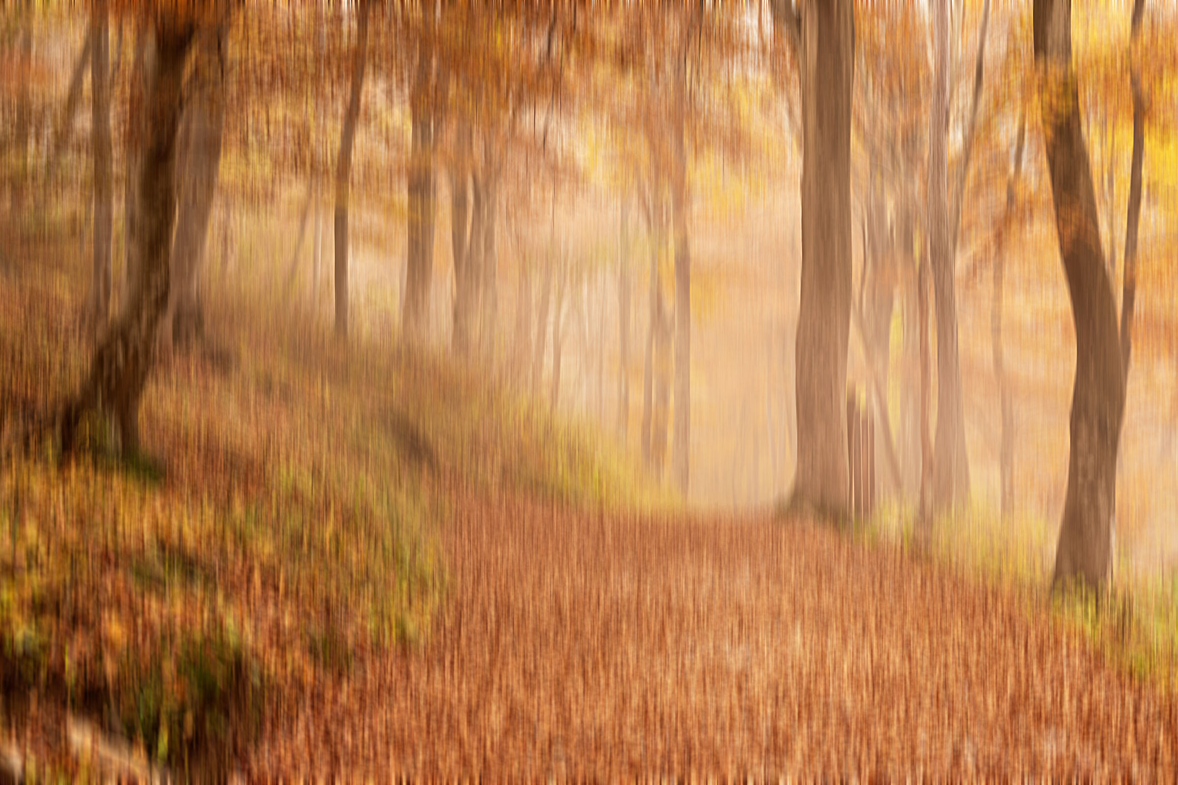 impressioni d'autunno