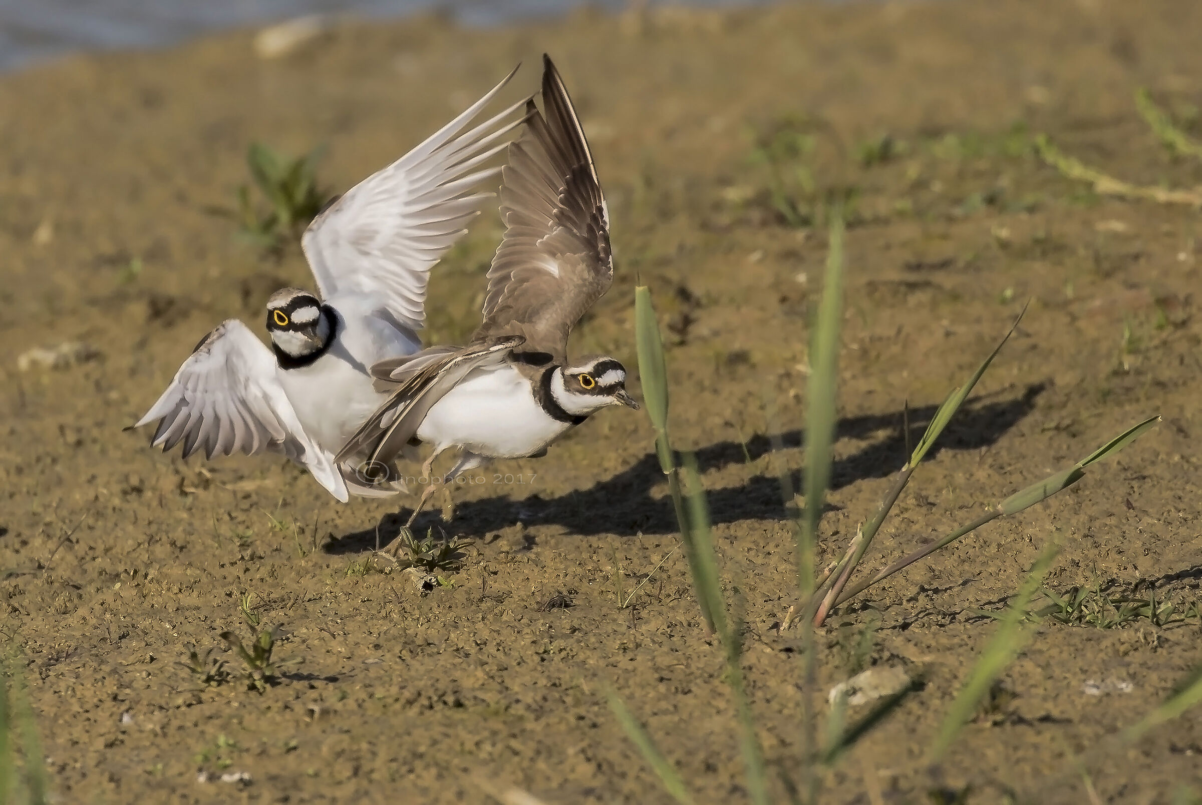 Un attimo.....dopo....