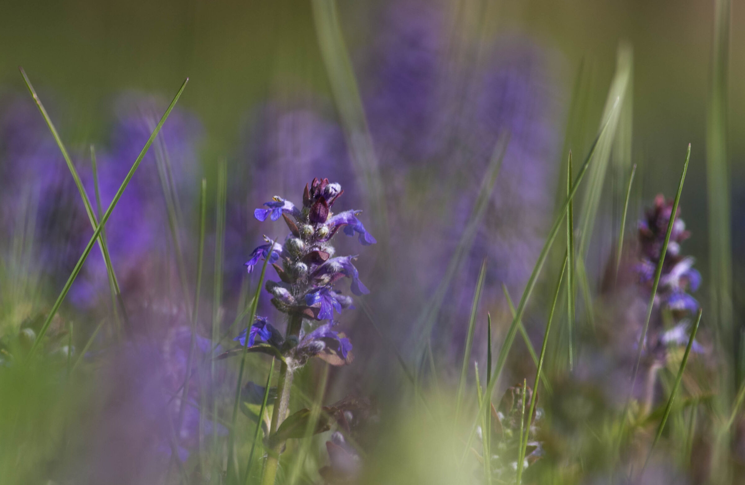 primi segni dell'estate