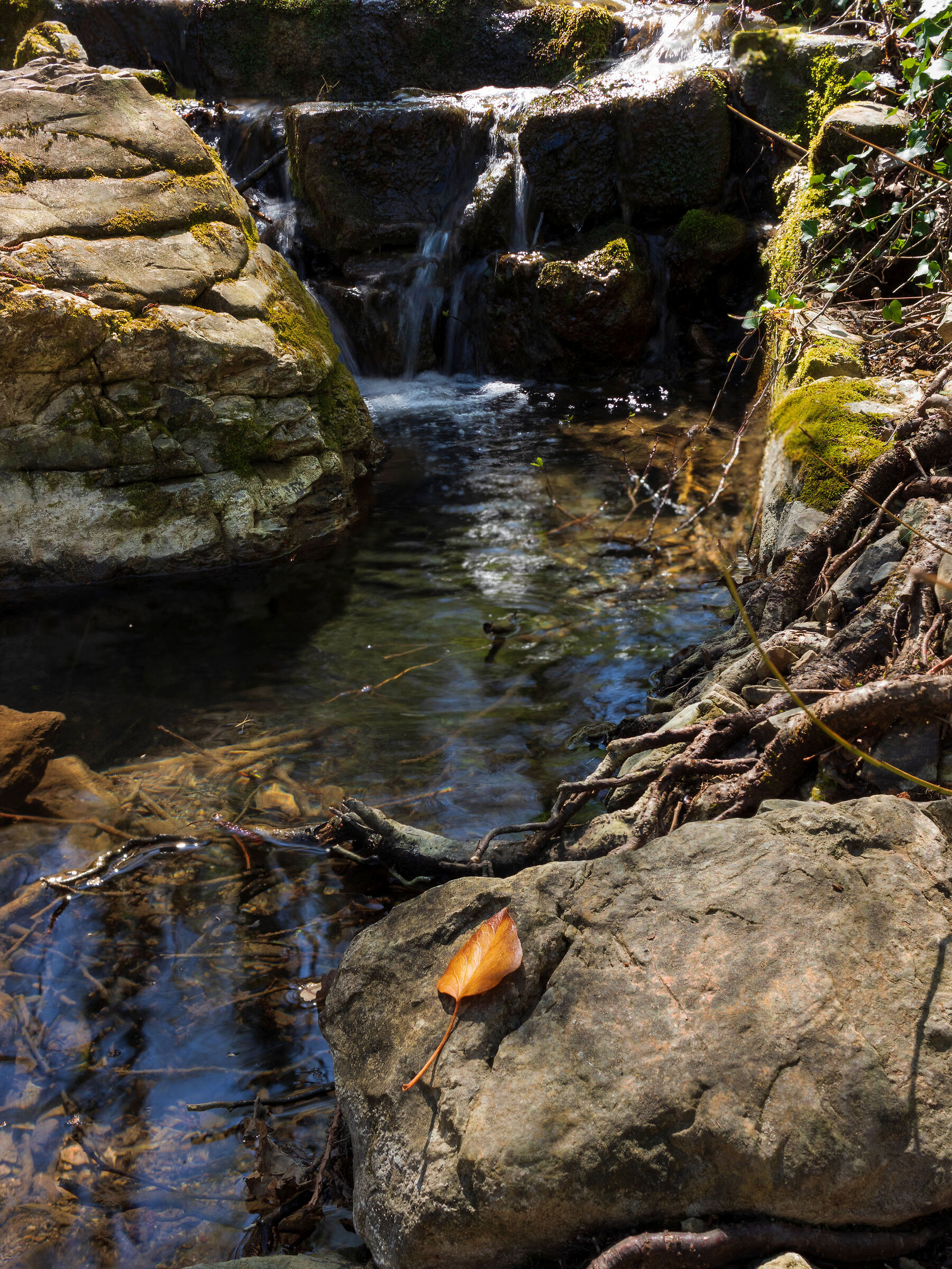 Cascatina (Cascatina)