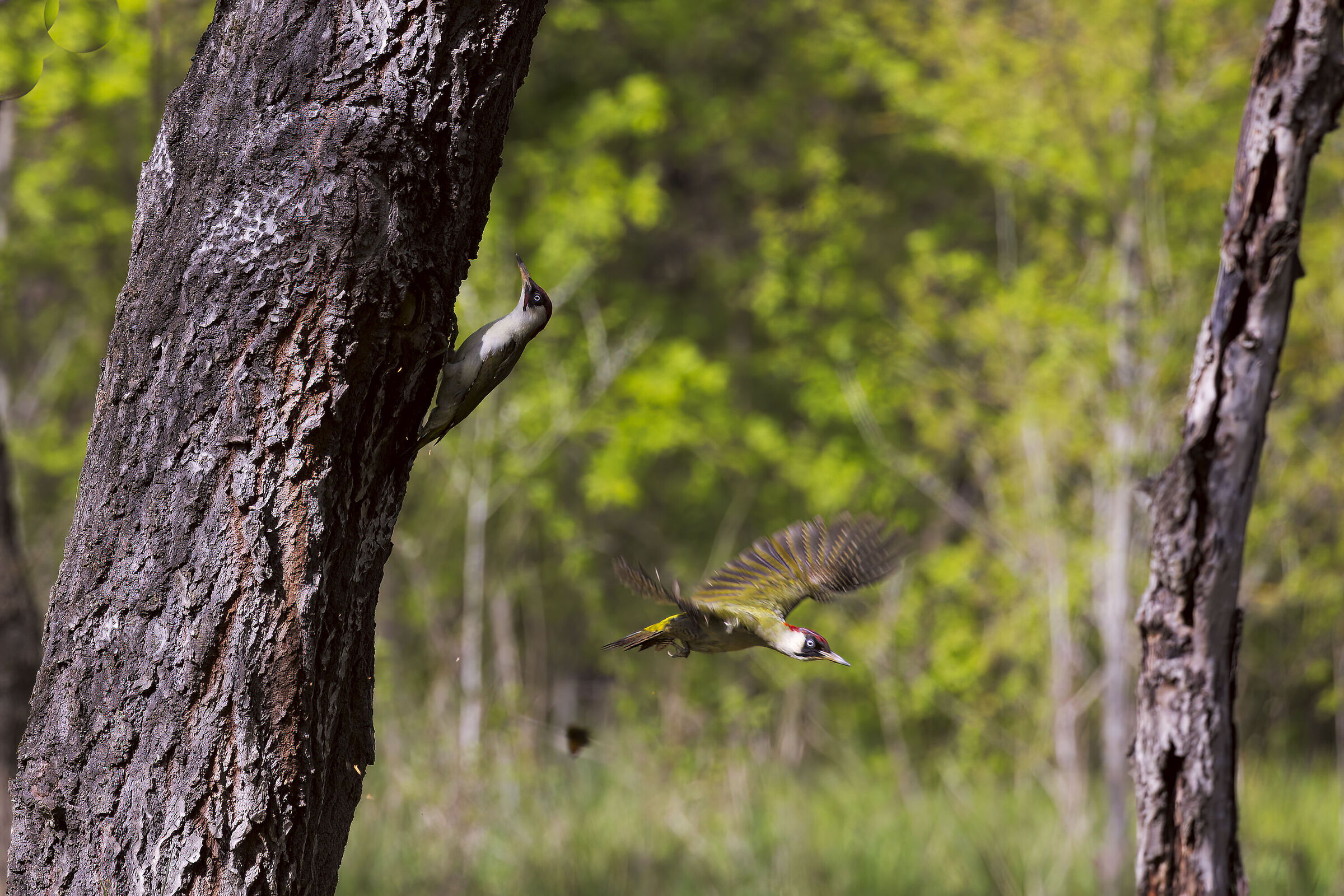 Cambio turno di lavoro