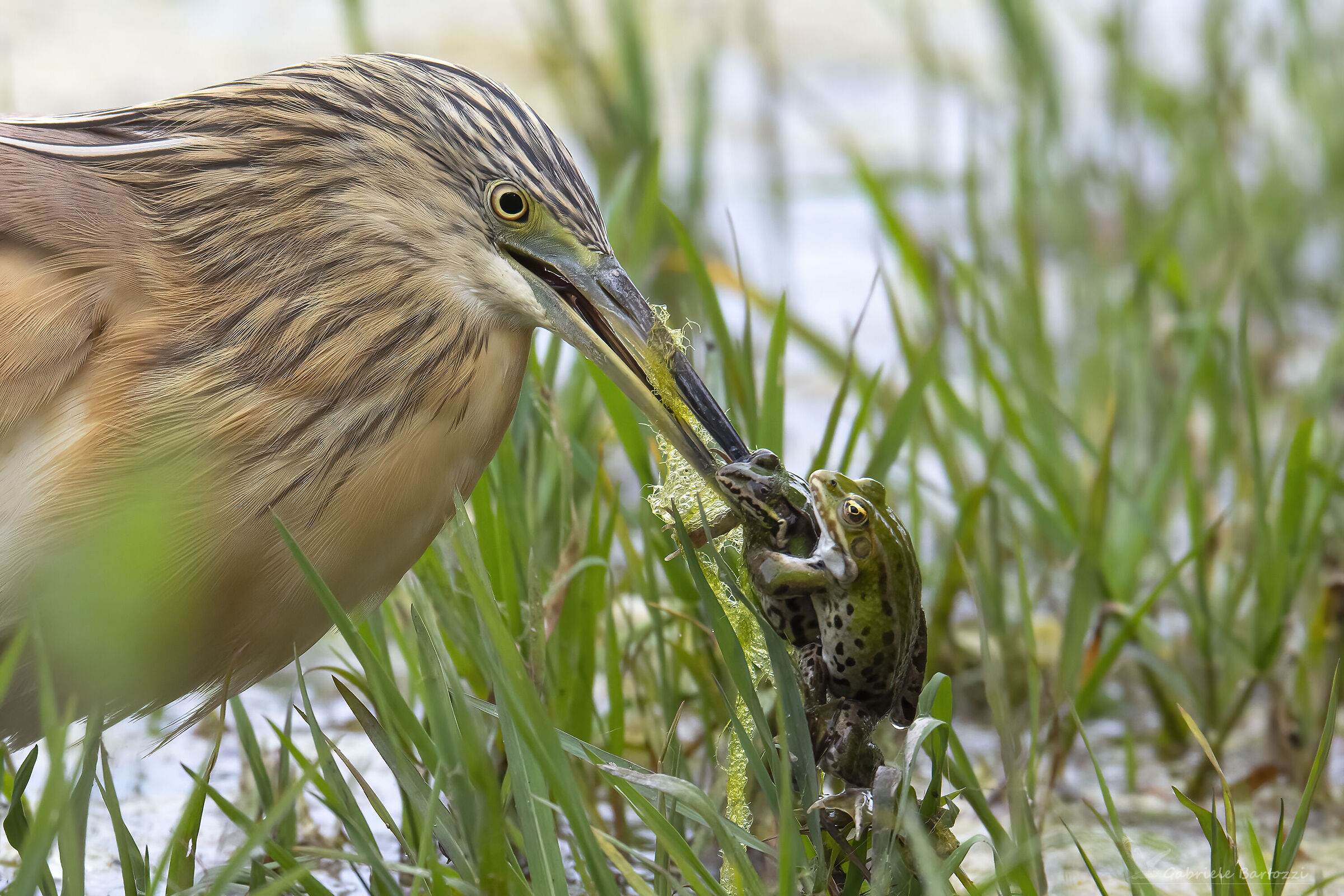 I will not leave you ....