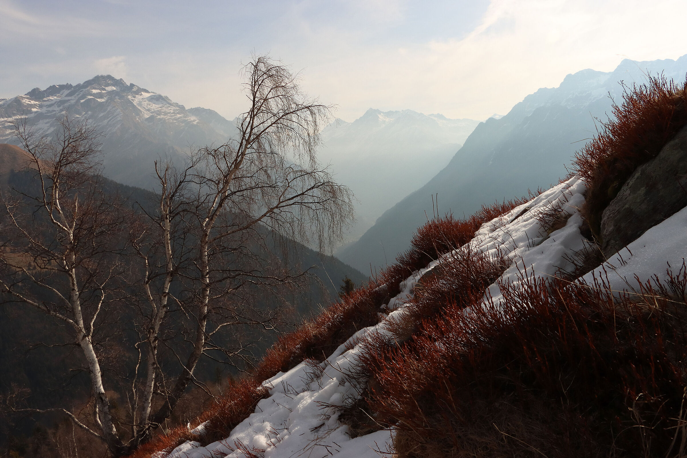 on the slopes of Cardeto