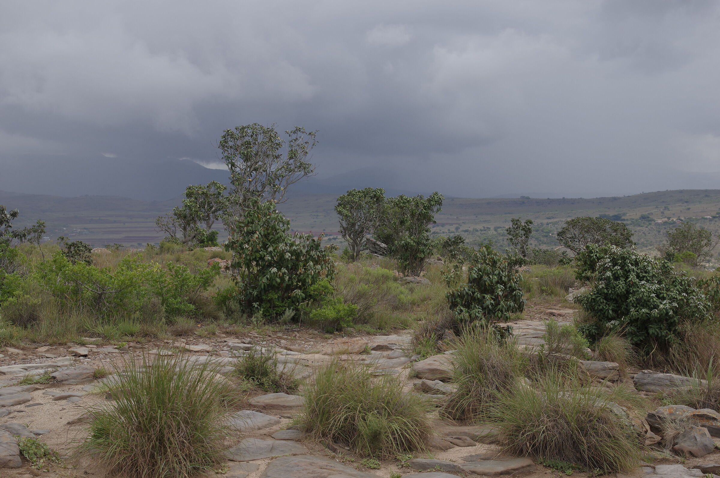 Bad weather on the horizon - South Africa