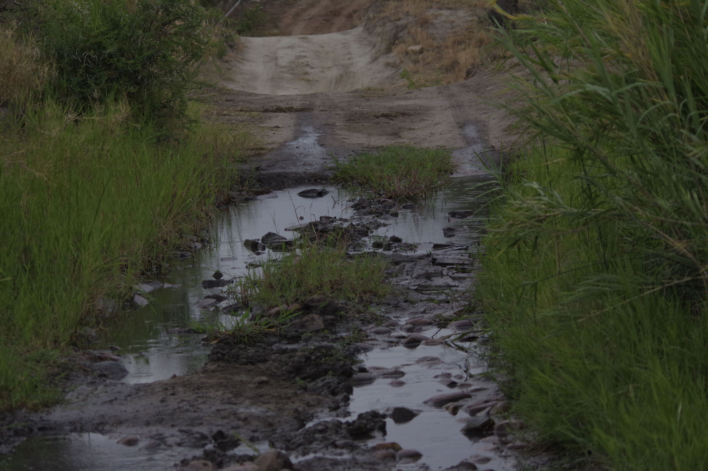 Rough roads in South Africa