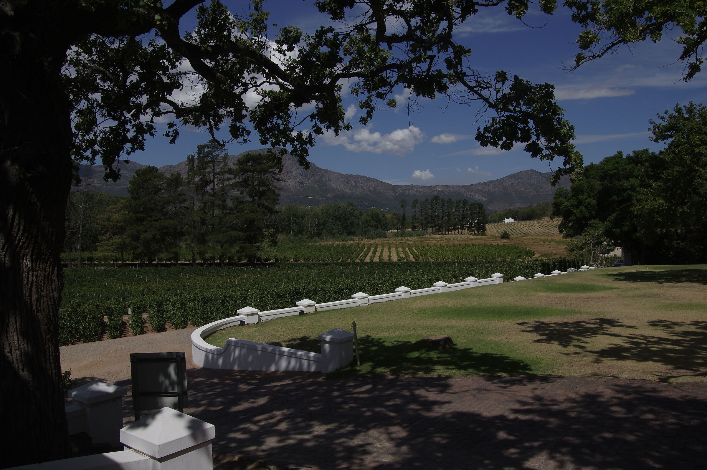 A beautiful day in South Africa