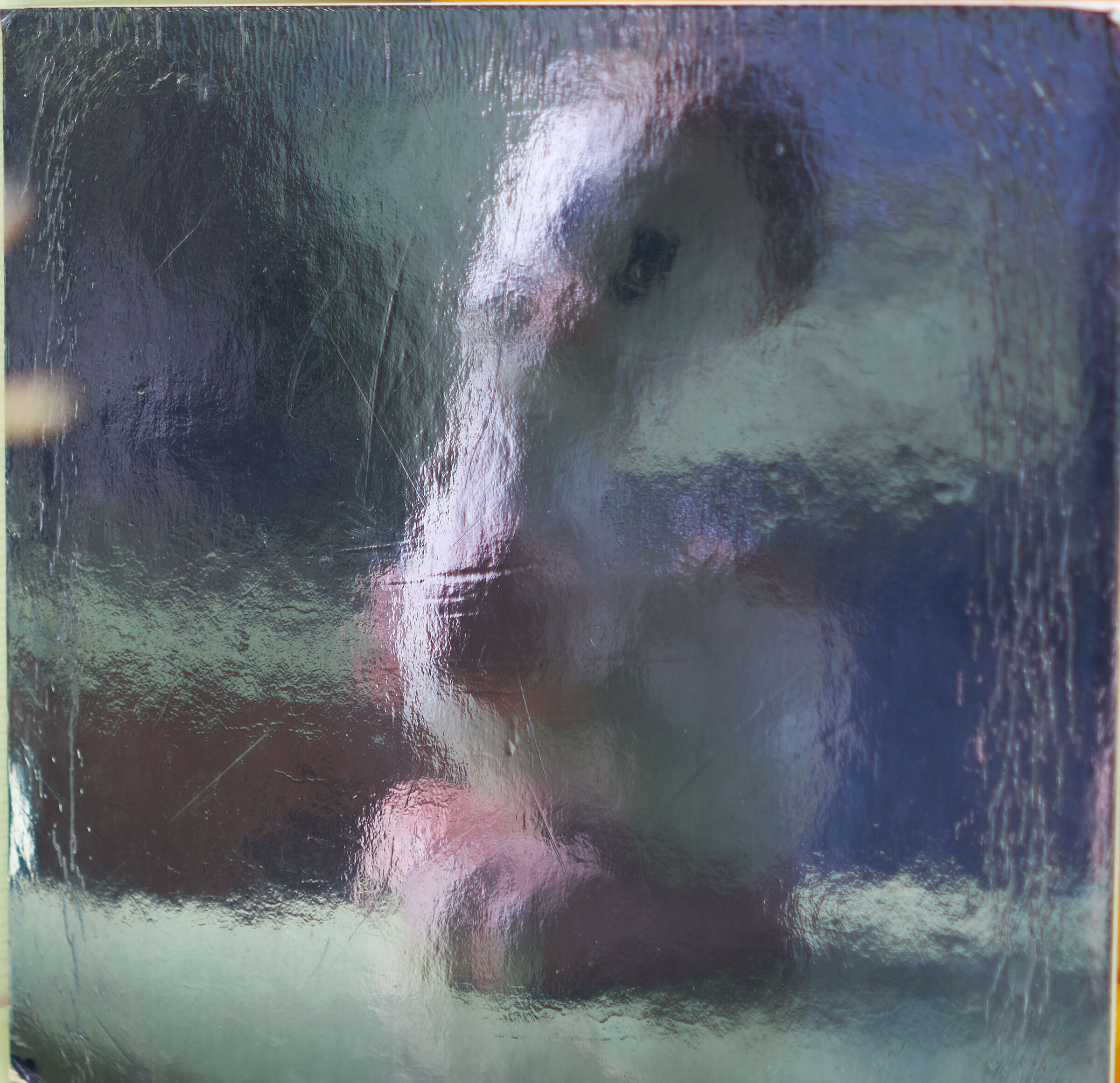 reflection on tray c/pap 81