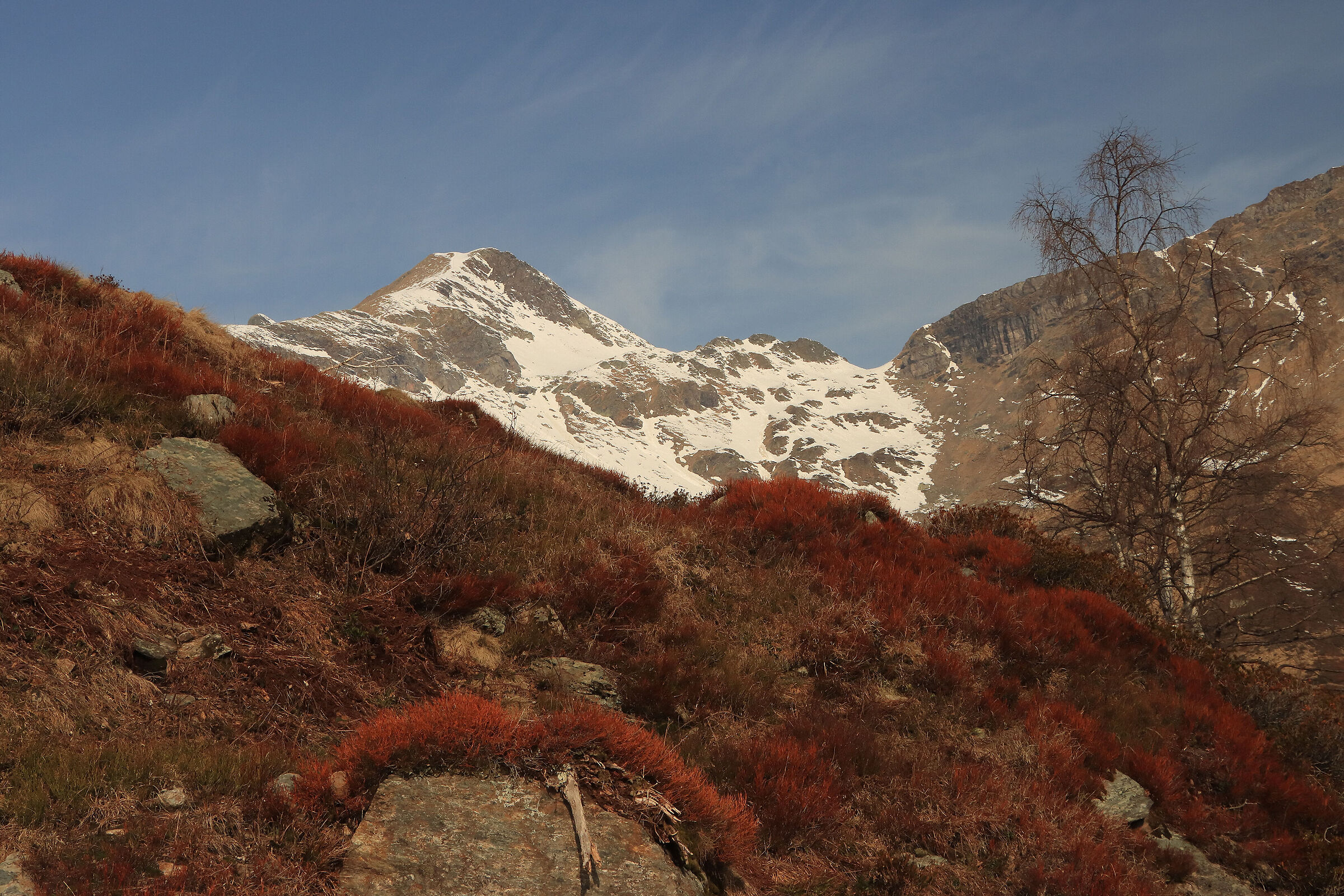 the Madonnino in Cardeto