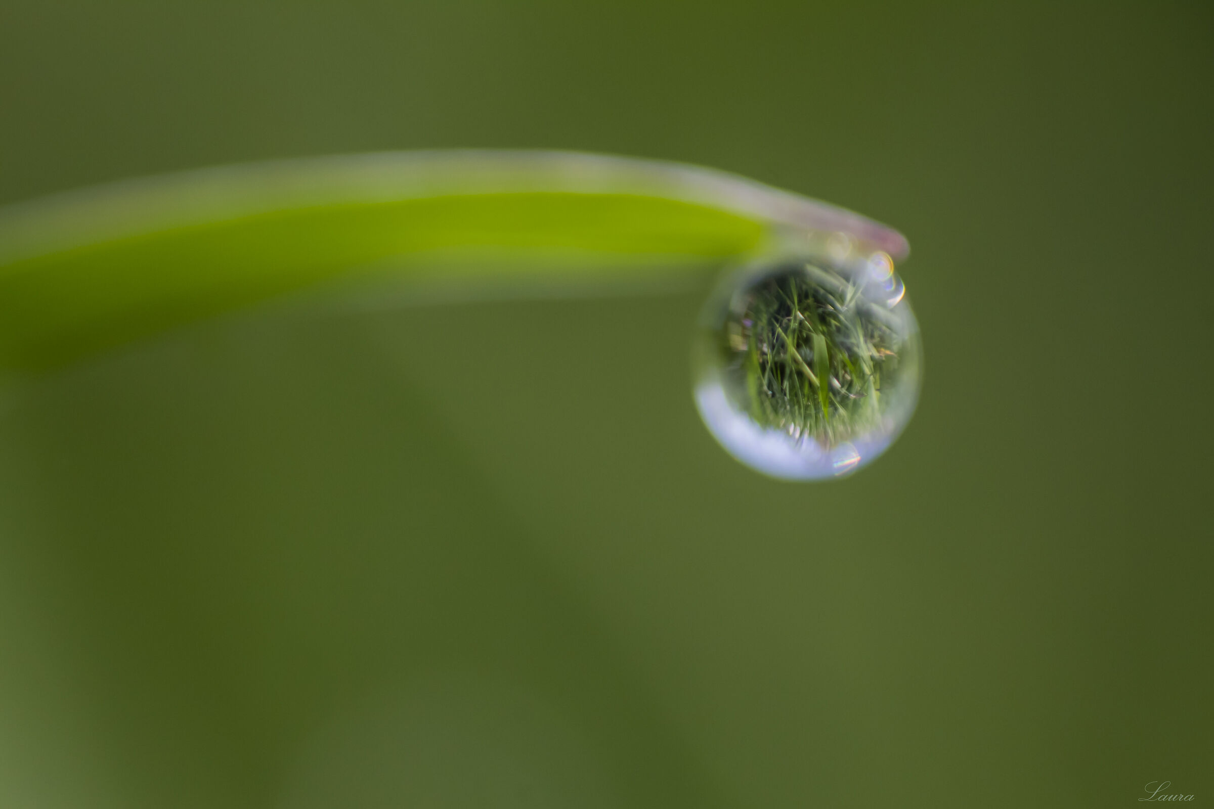 The lawn in a drop