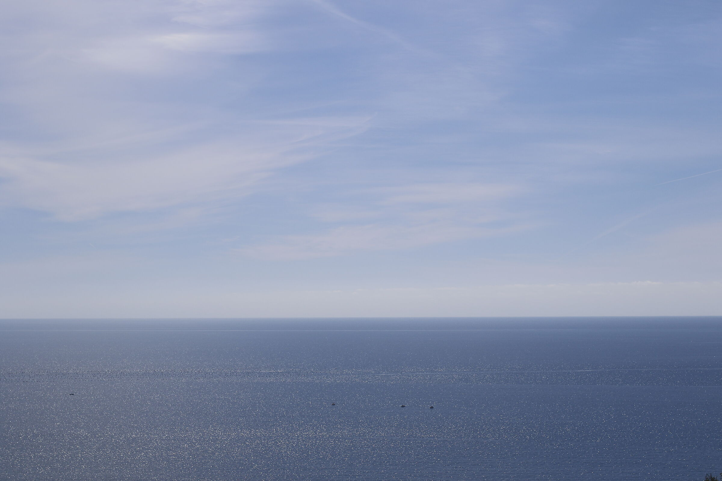 F. 5.6, 1/ 4.000, ISO 125