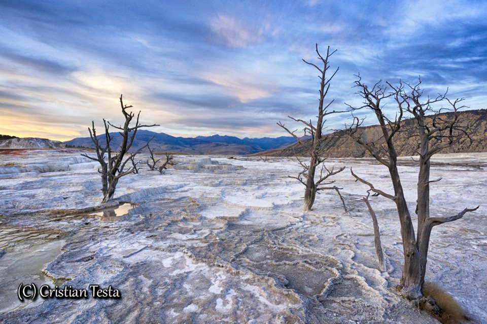 Mammoth Hot Spring