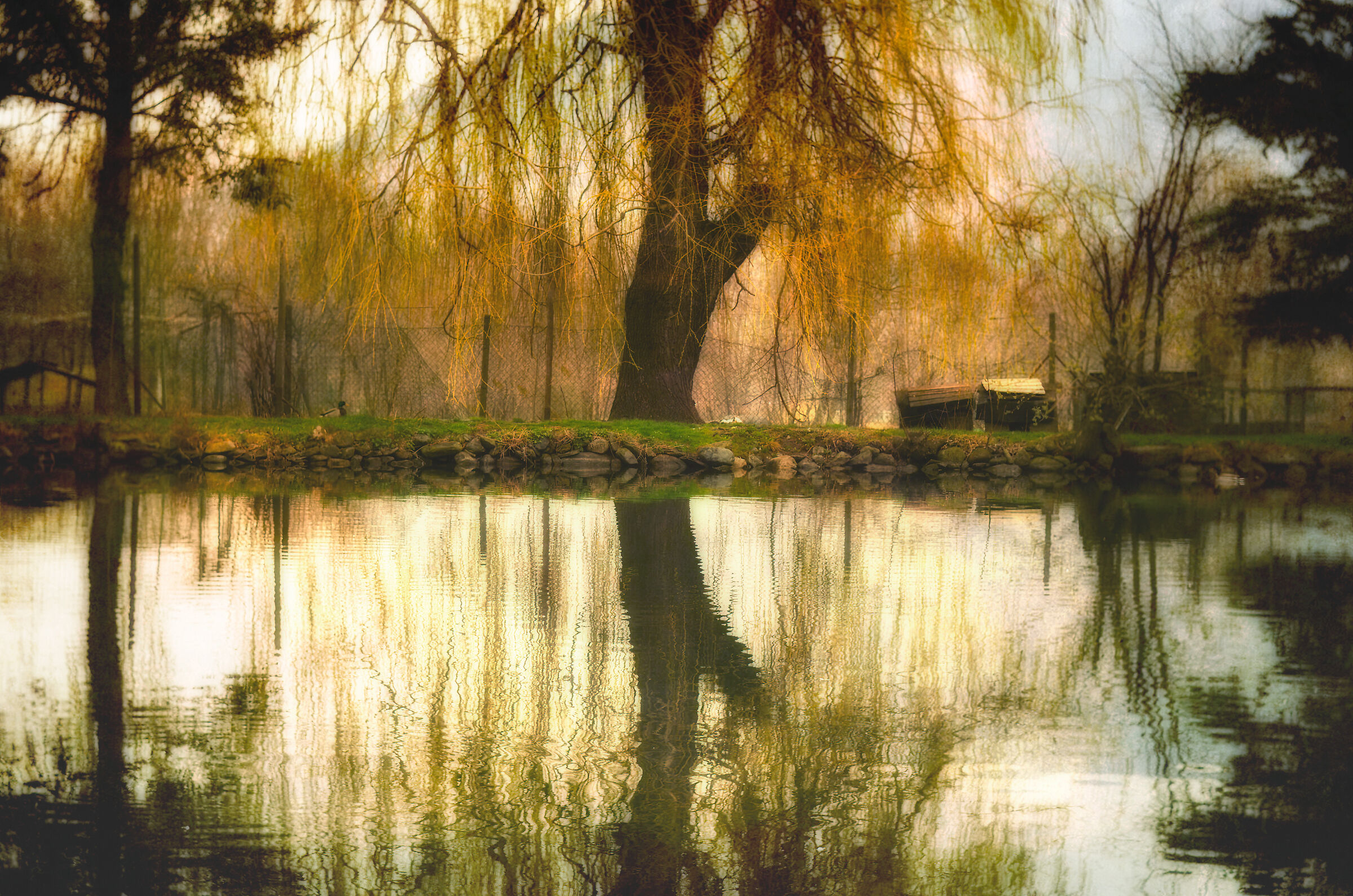 A little lake