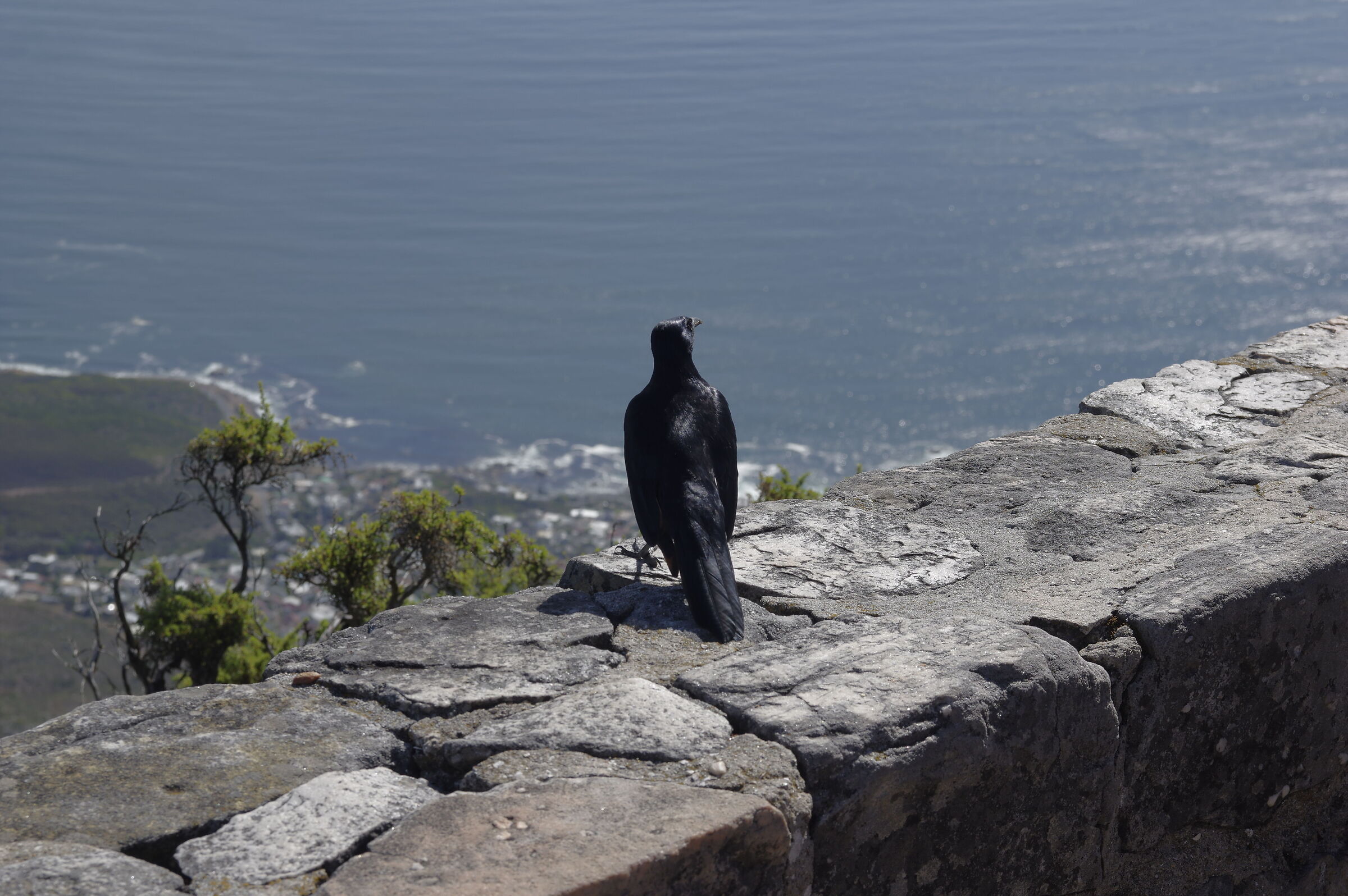 Aiming for new horizons