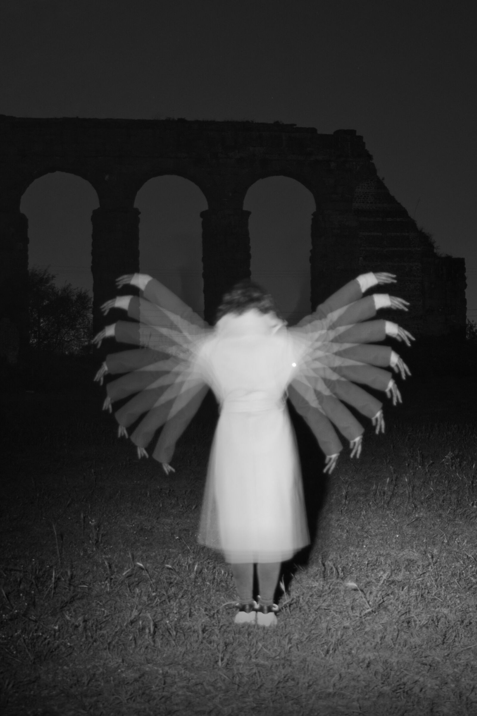 spread your wings and fly