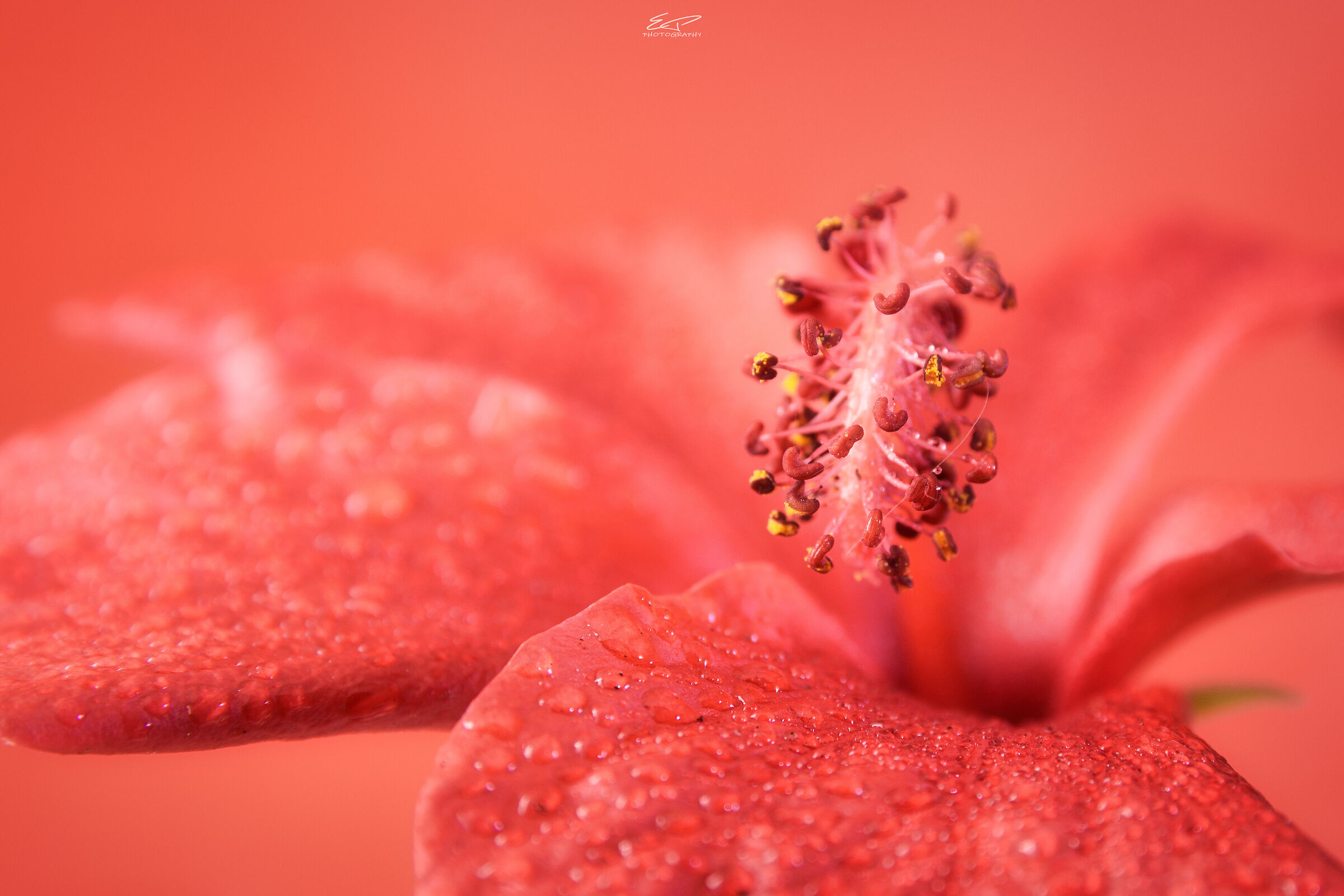 A Little Glittery Detail