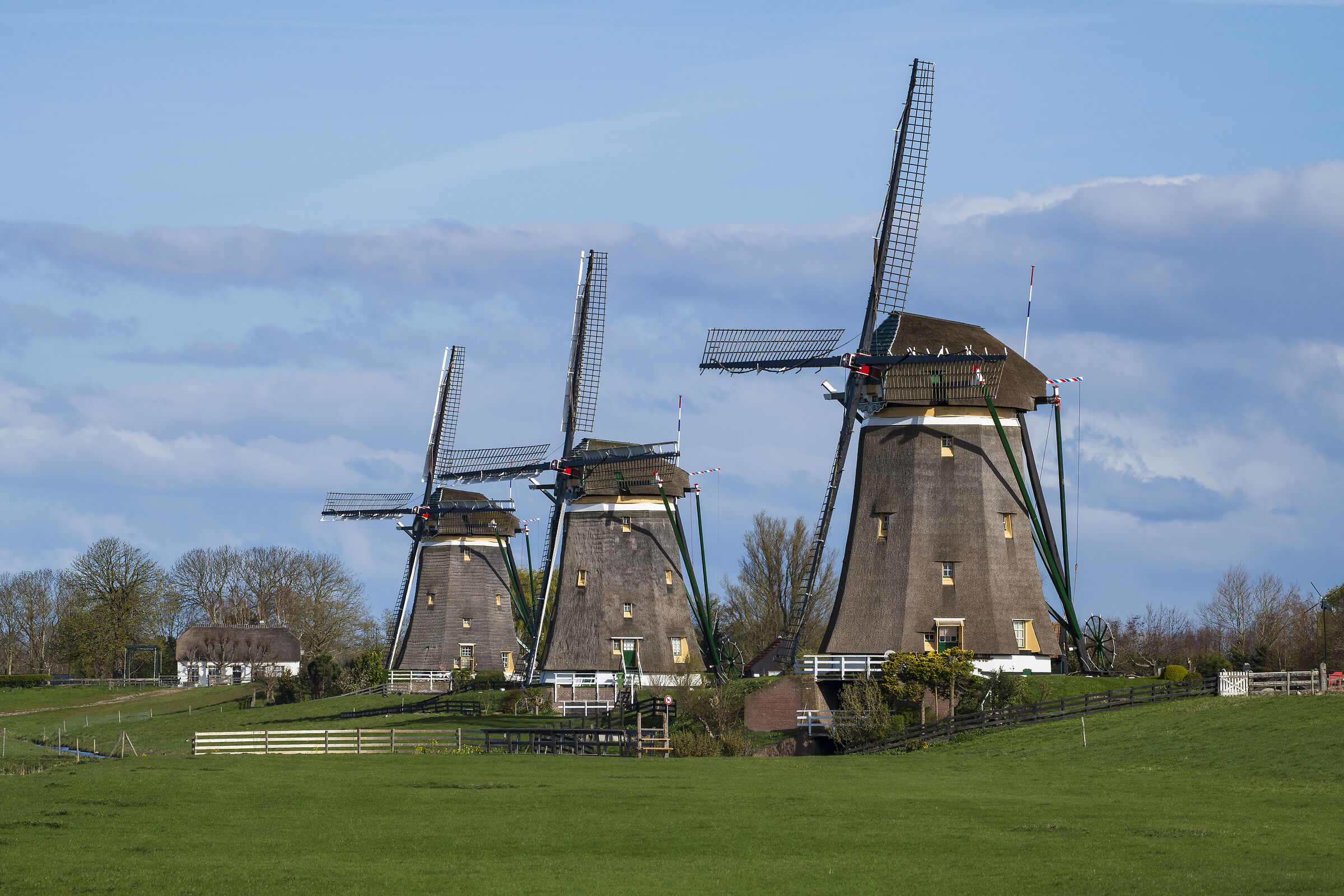 Nieuwe Driemanspolder