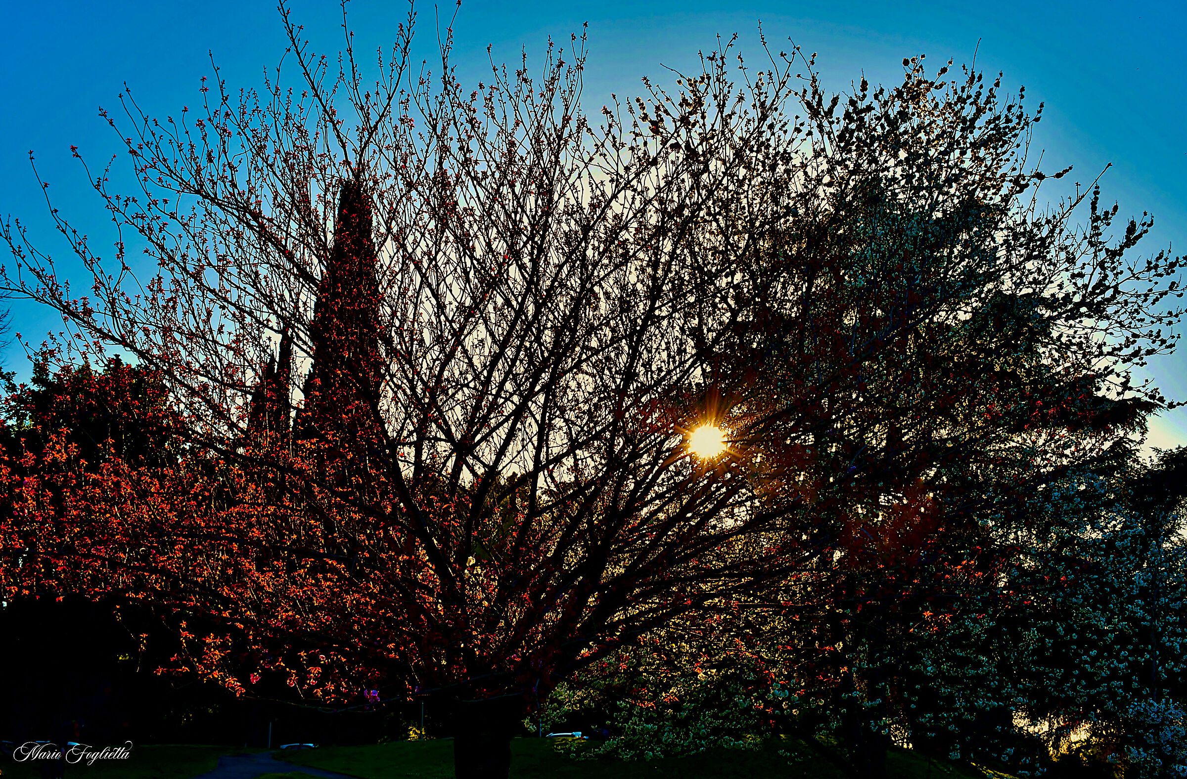 The sun inside.......