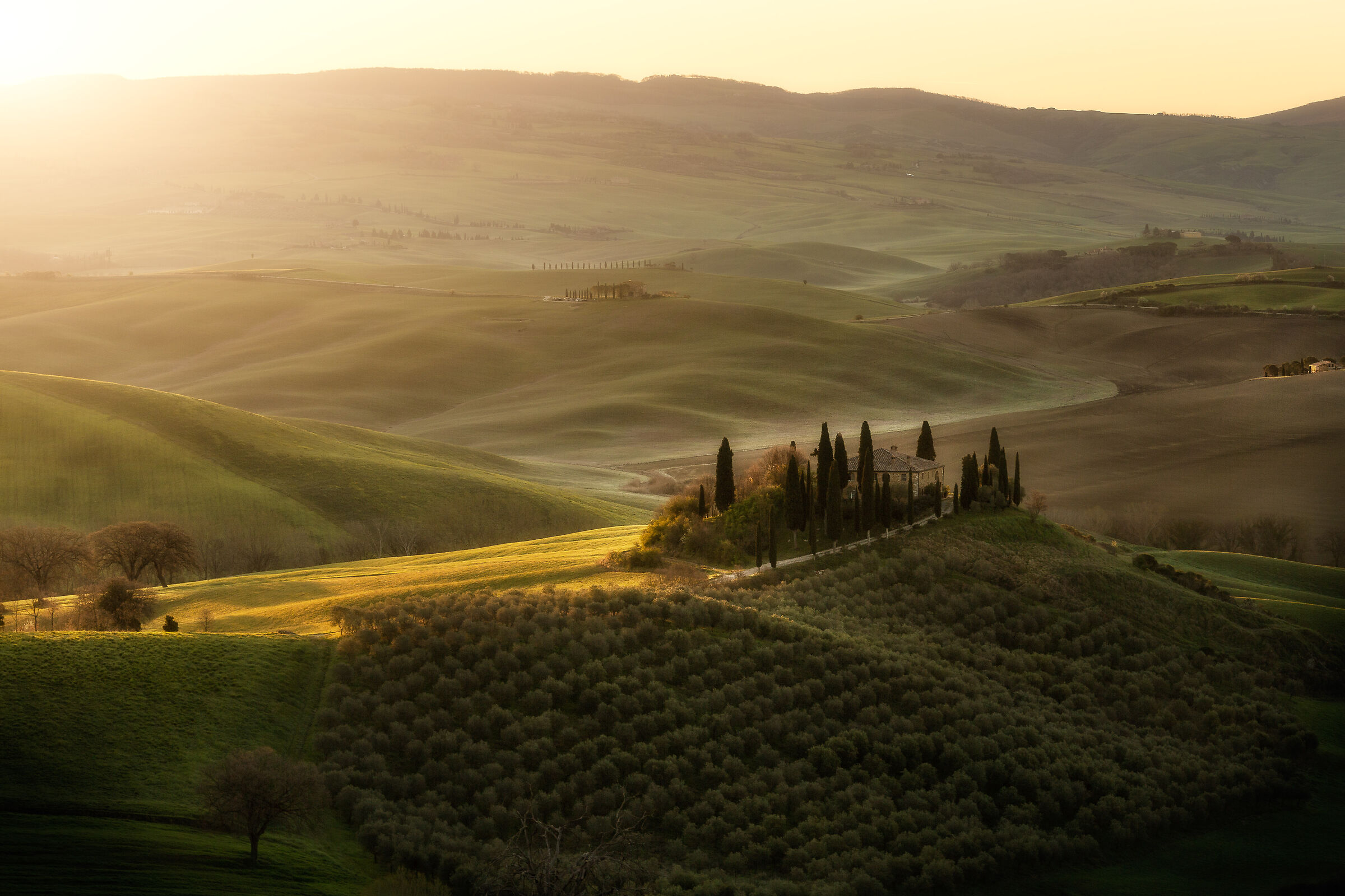 Il classico dei classici