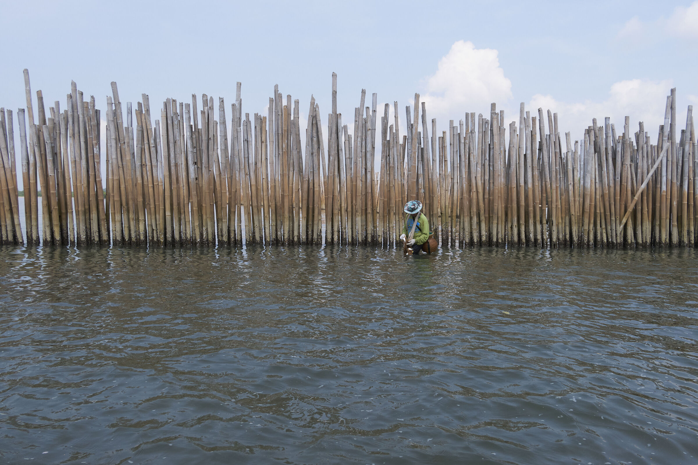 Il pescatore di laguna