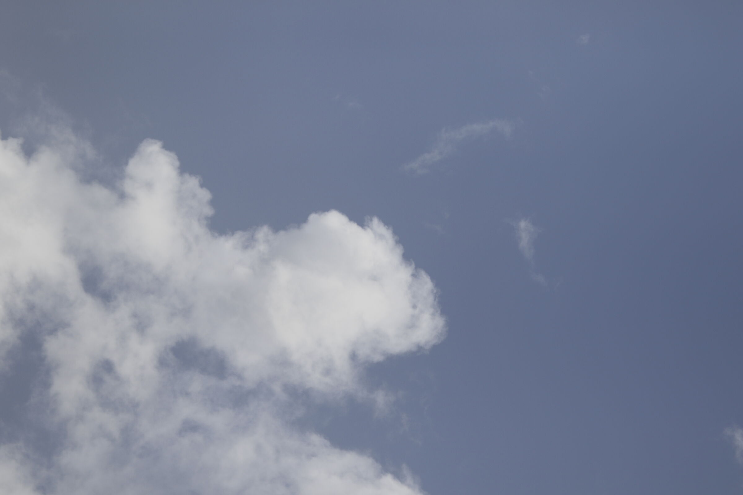 F. 2.5 - 1/ 8.000 - ISO 125