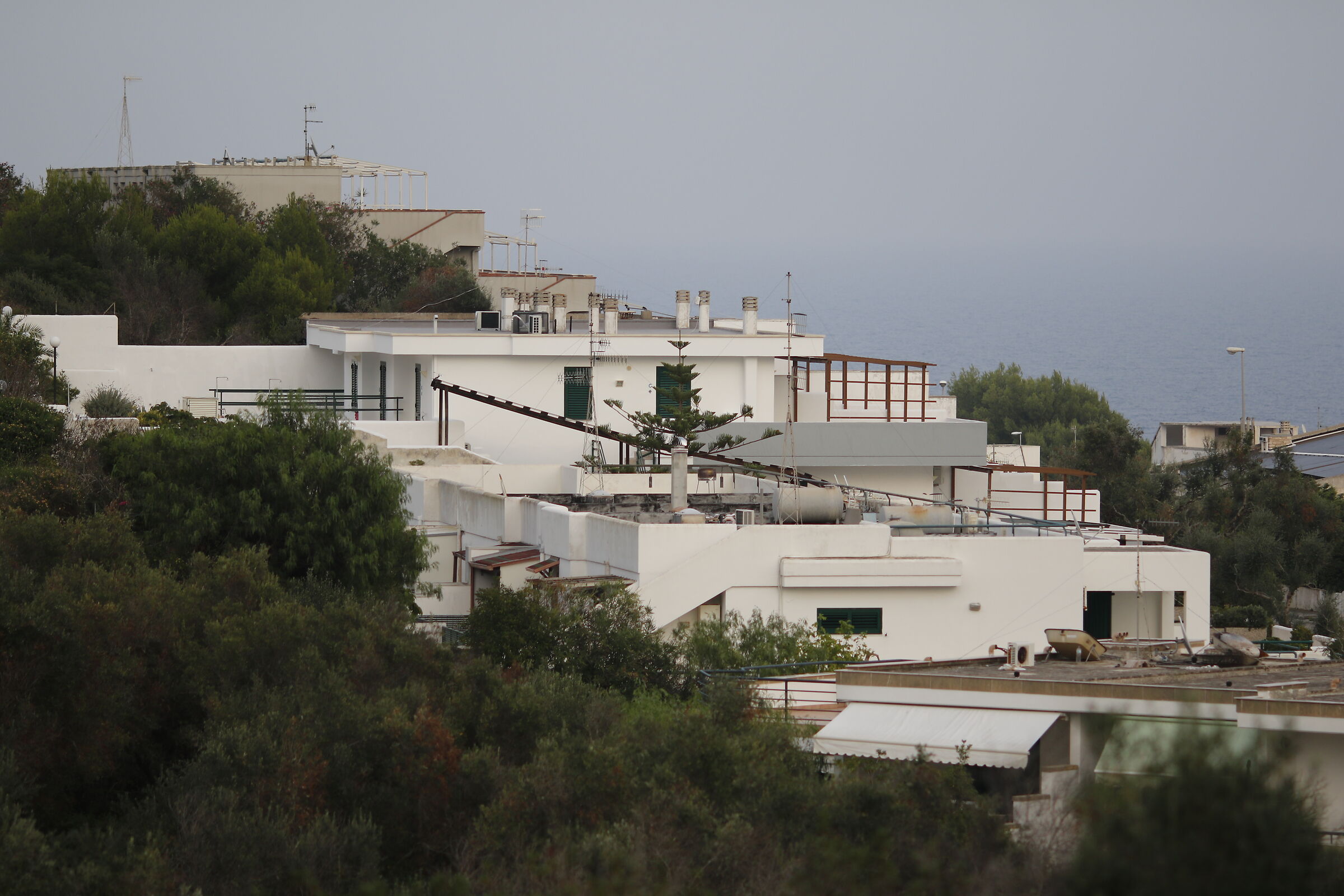 F. 2.0 - 1/ 750 - ISO 125