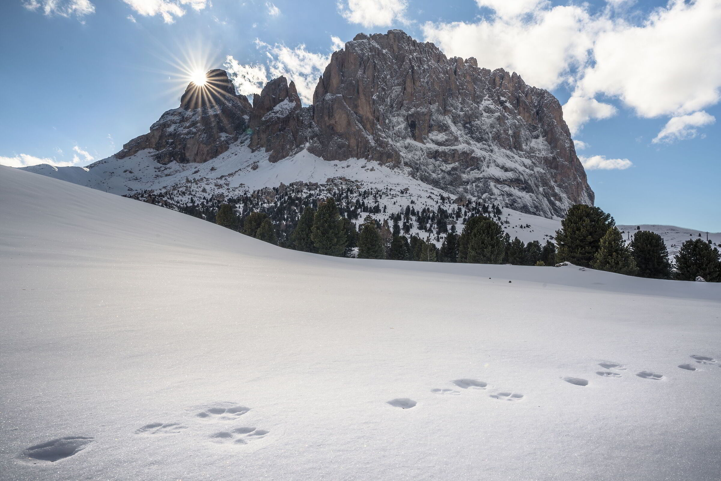 Inseguendo il Bianconiglio