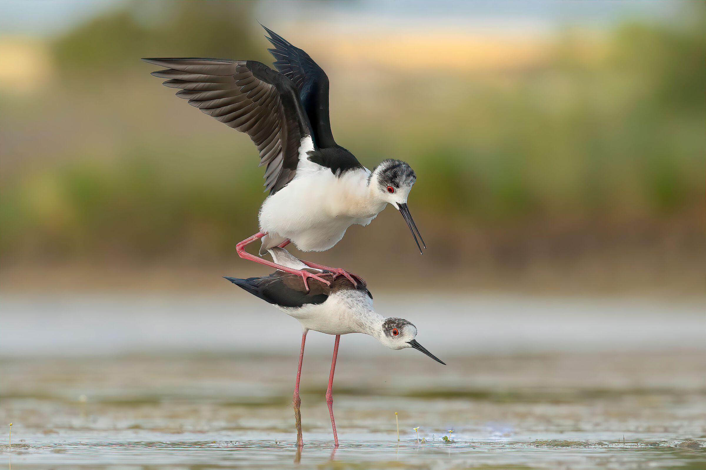 When there is love there is everything...