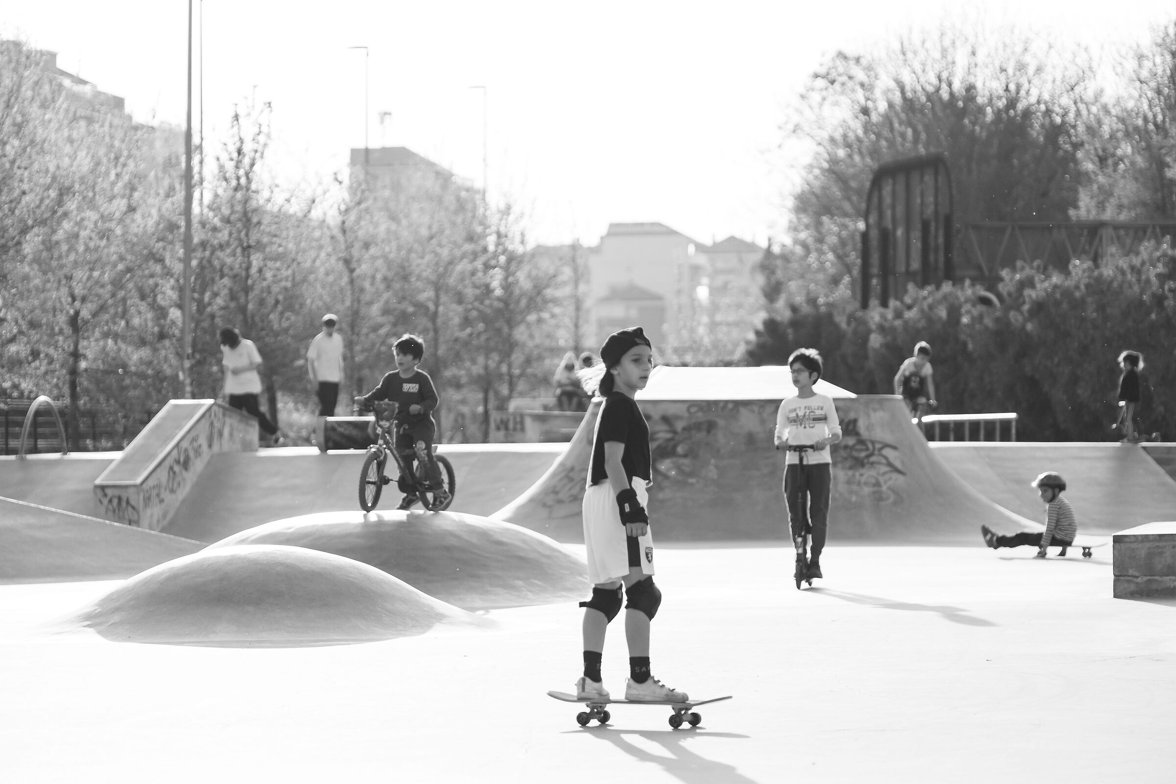 Skateboard mania