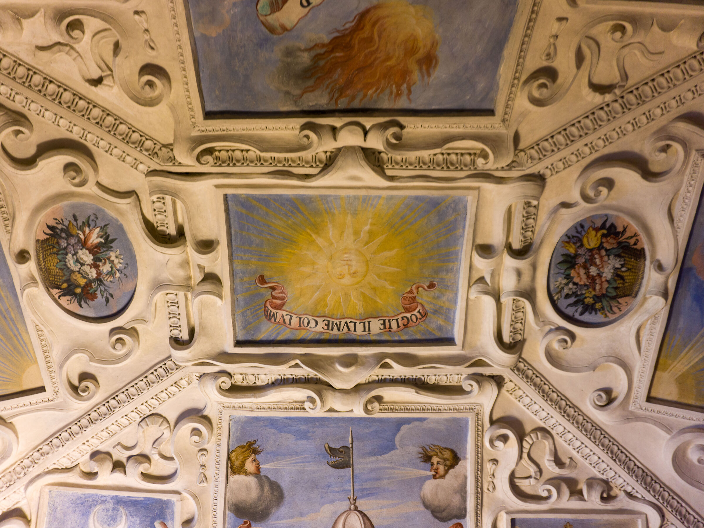 Untitled Photo