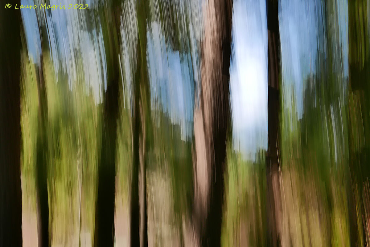 Dynamic balance