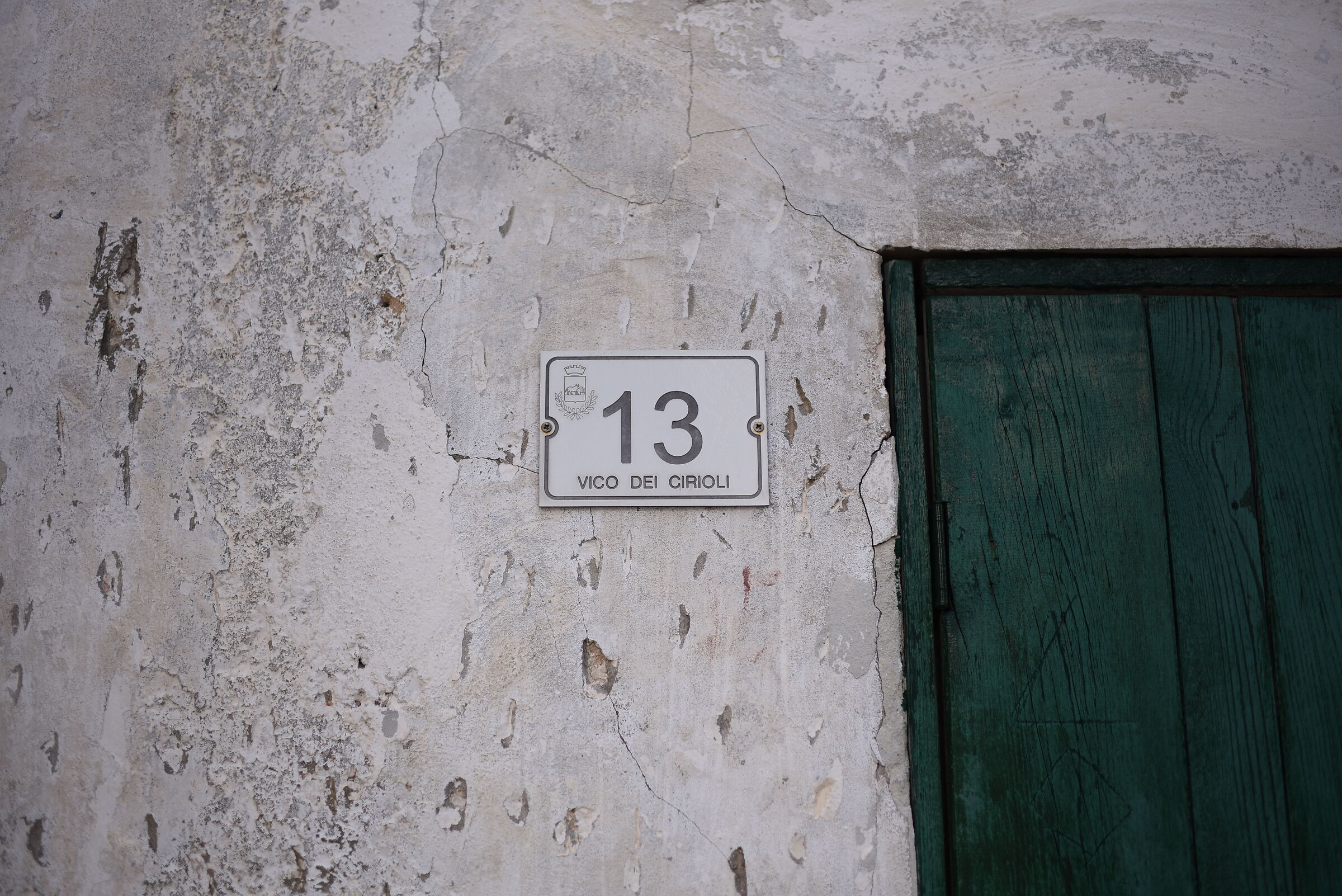 F. 1.7, 1/ 4.000, ISO 125 / Tamron 35, 1.4