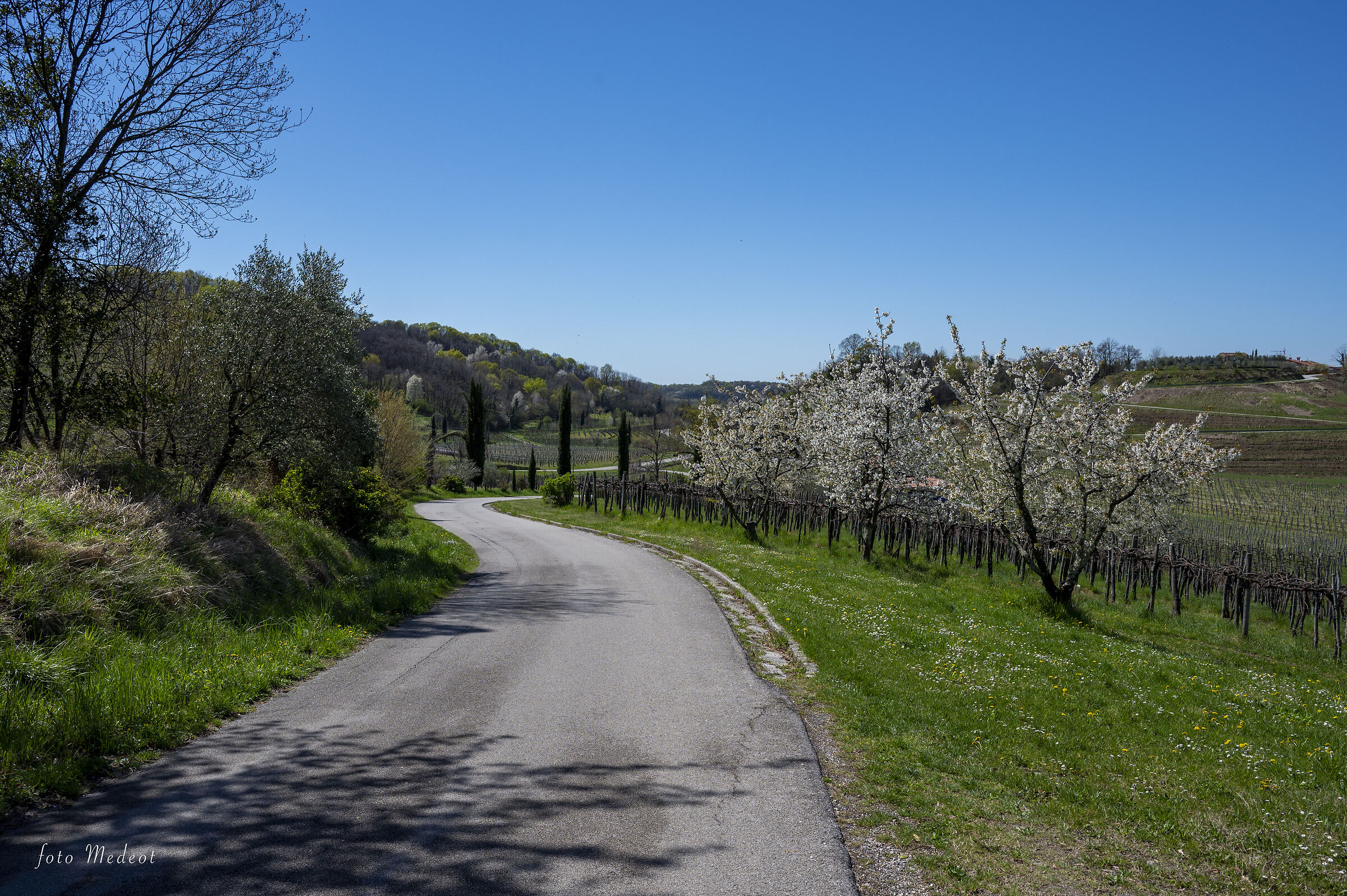 Percorsi primaverili nel Collio