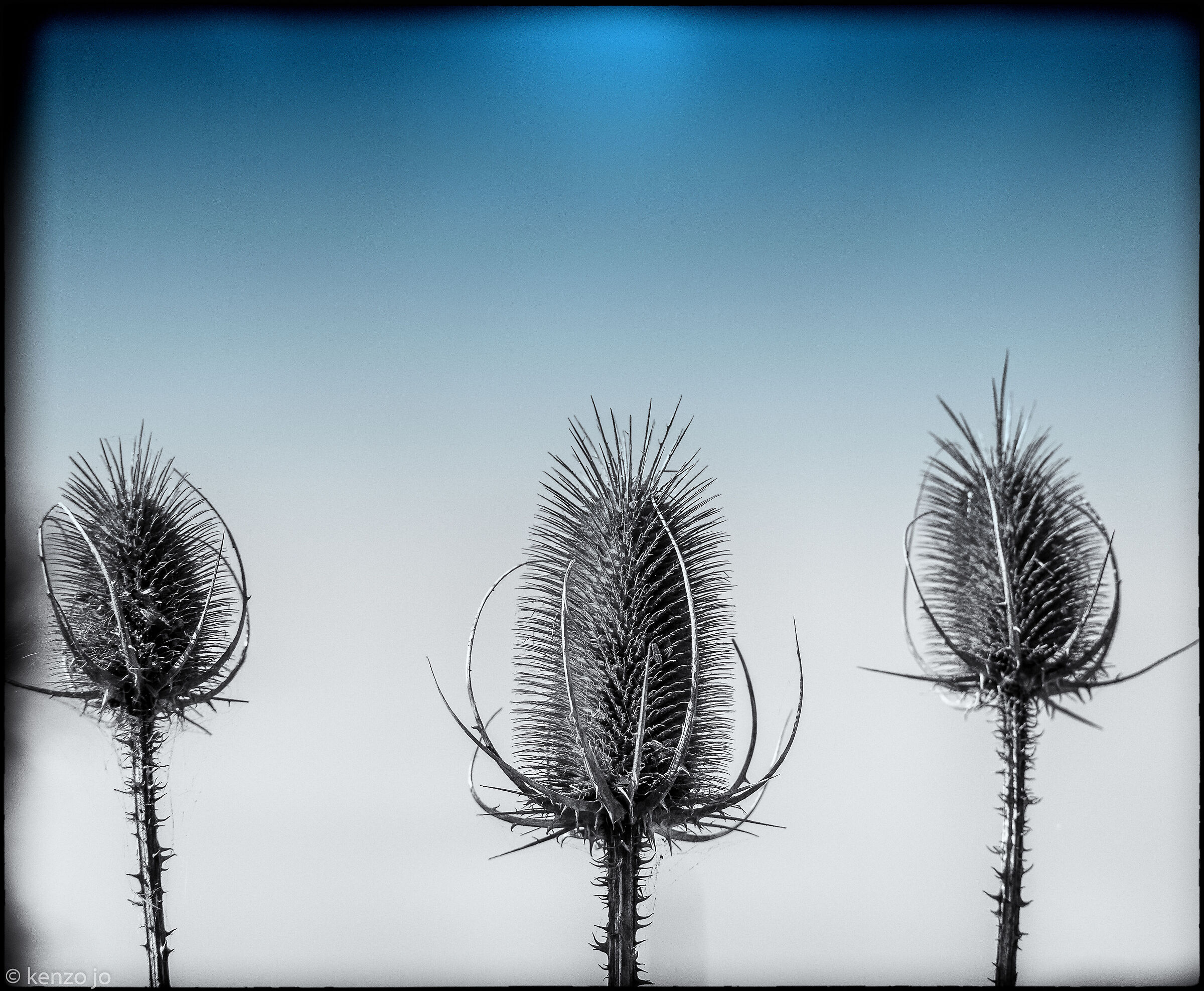 Way of the Cross 2022