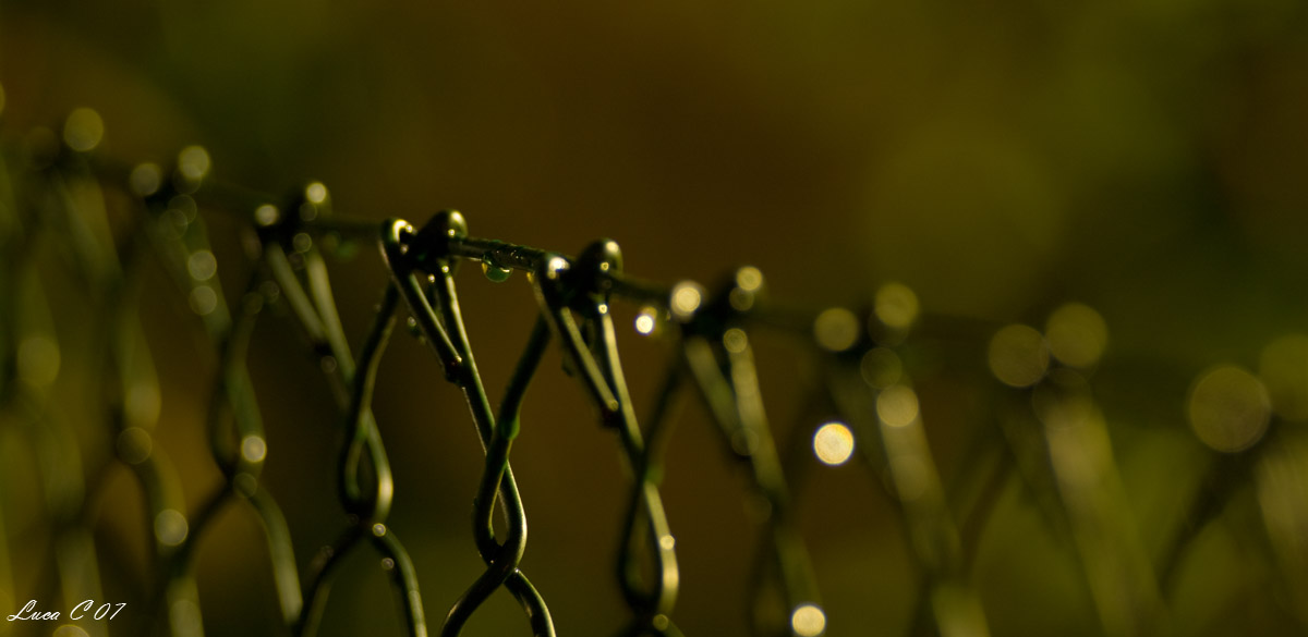 Pioggia 2 (Maranello)